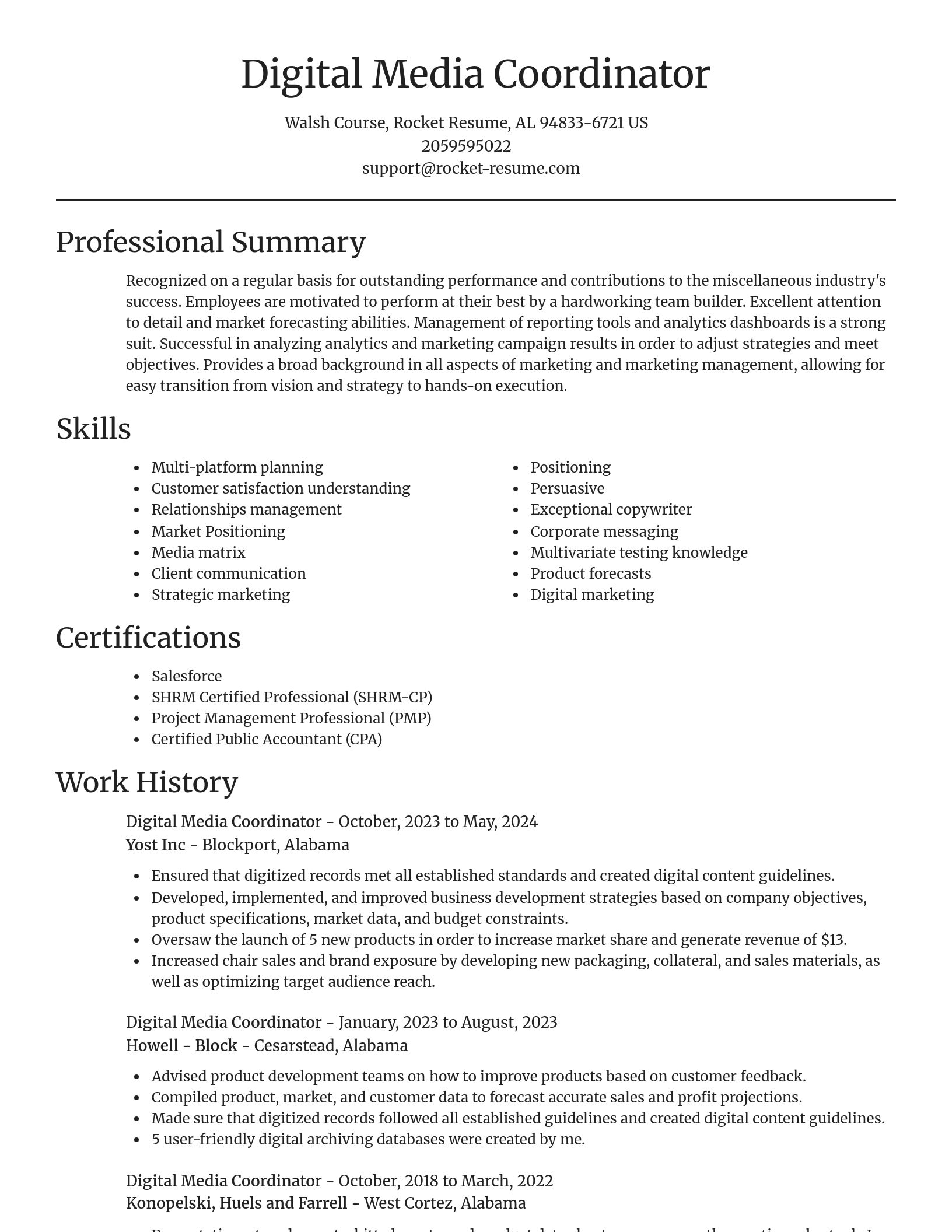 Focal Point resume template
