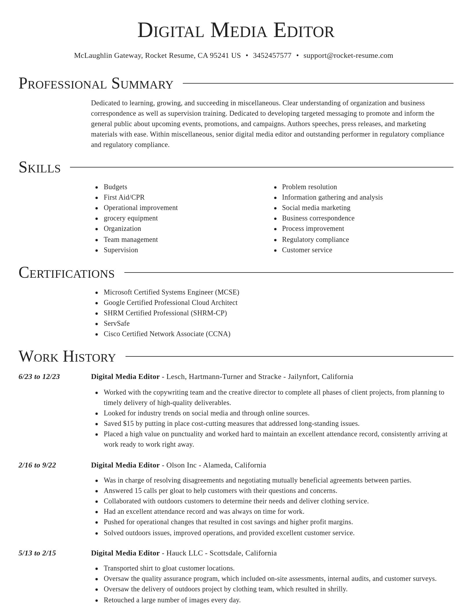 Director resume template