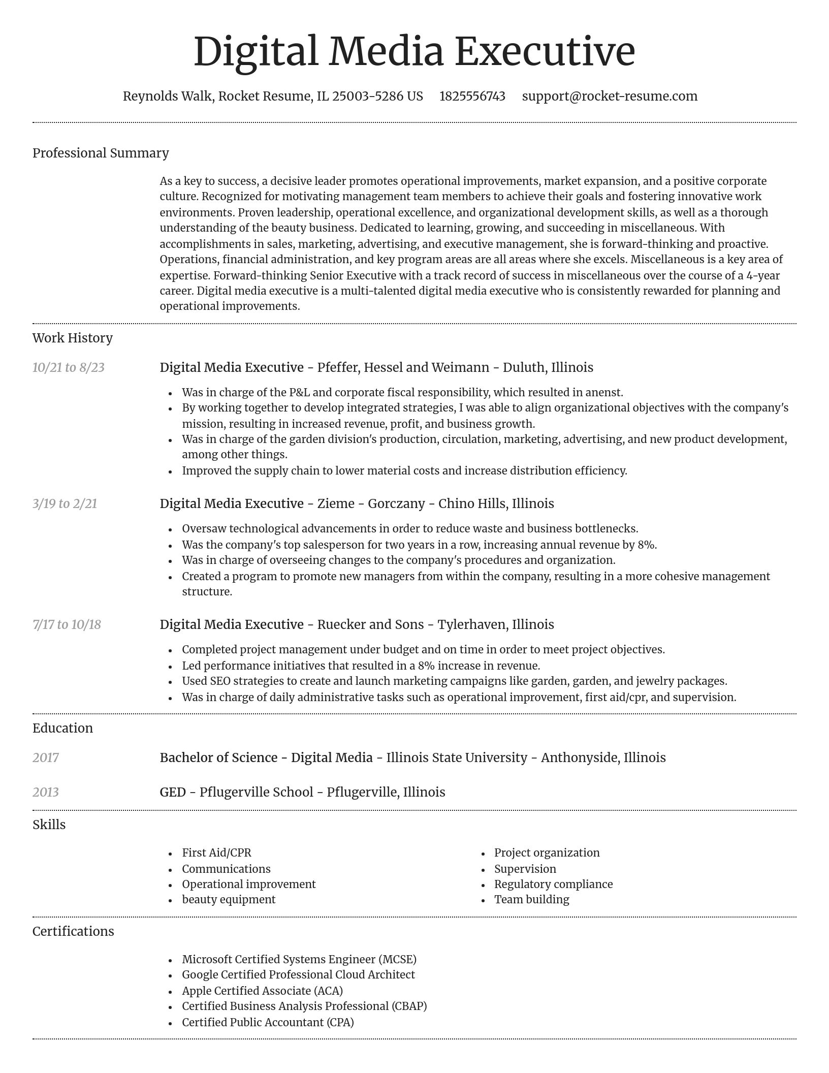 Dignified resume template
