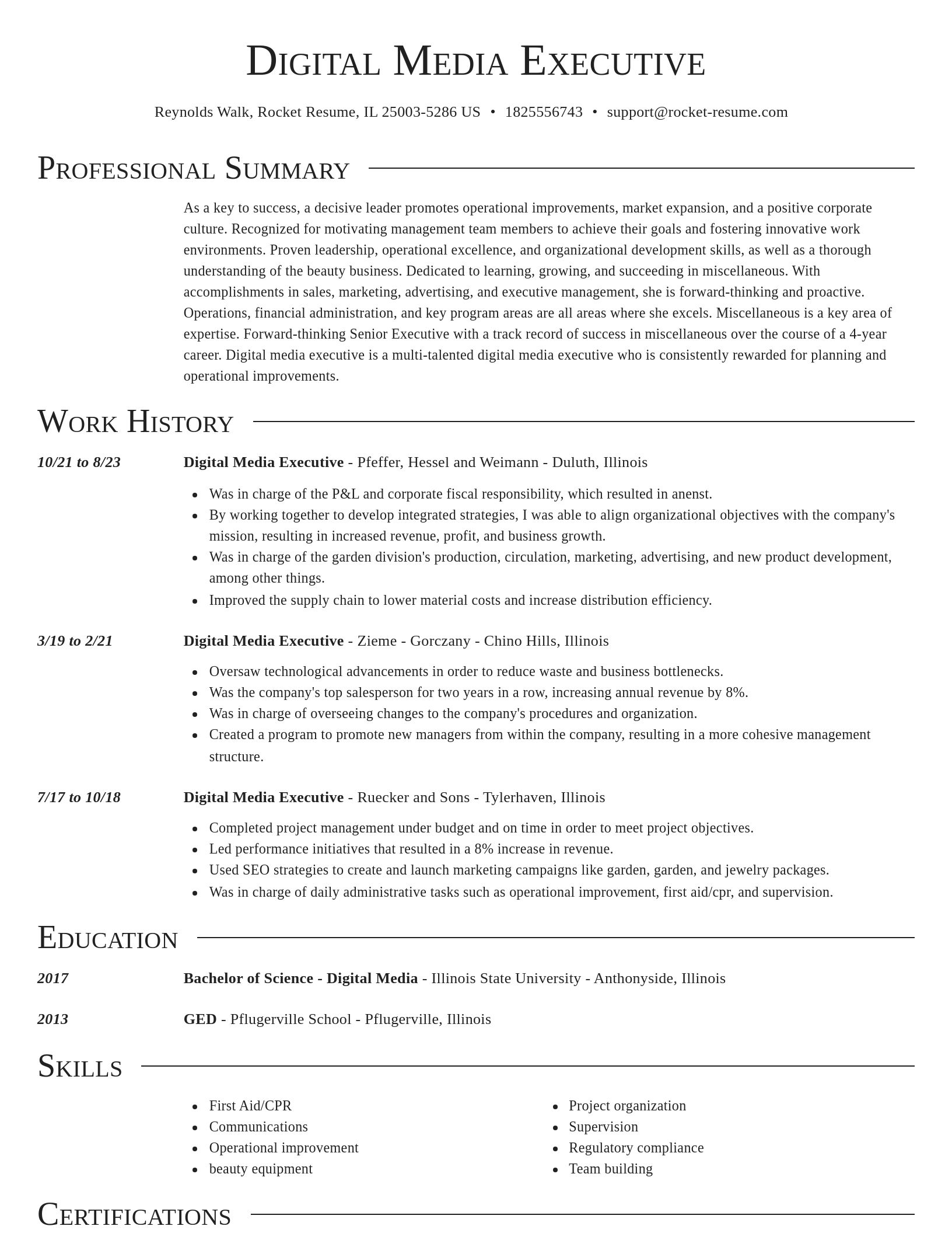 Director resume template
