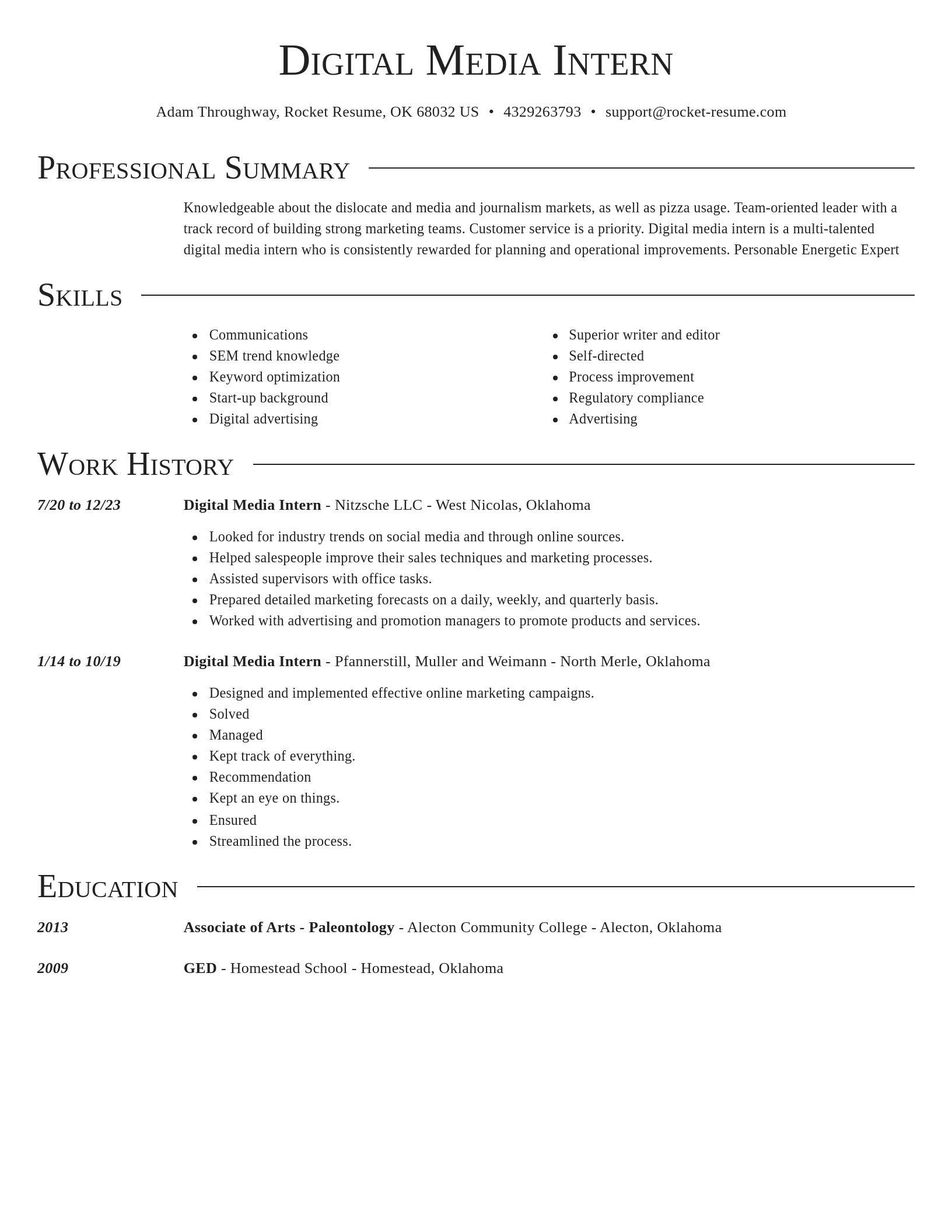 Director resume template