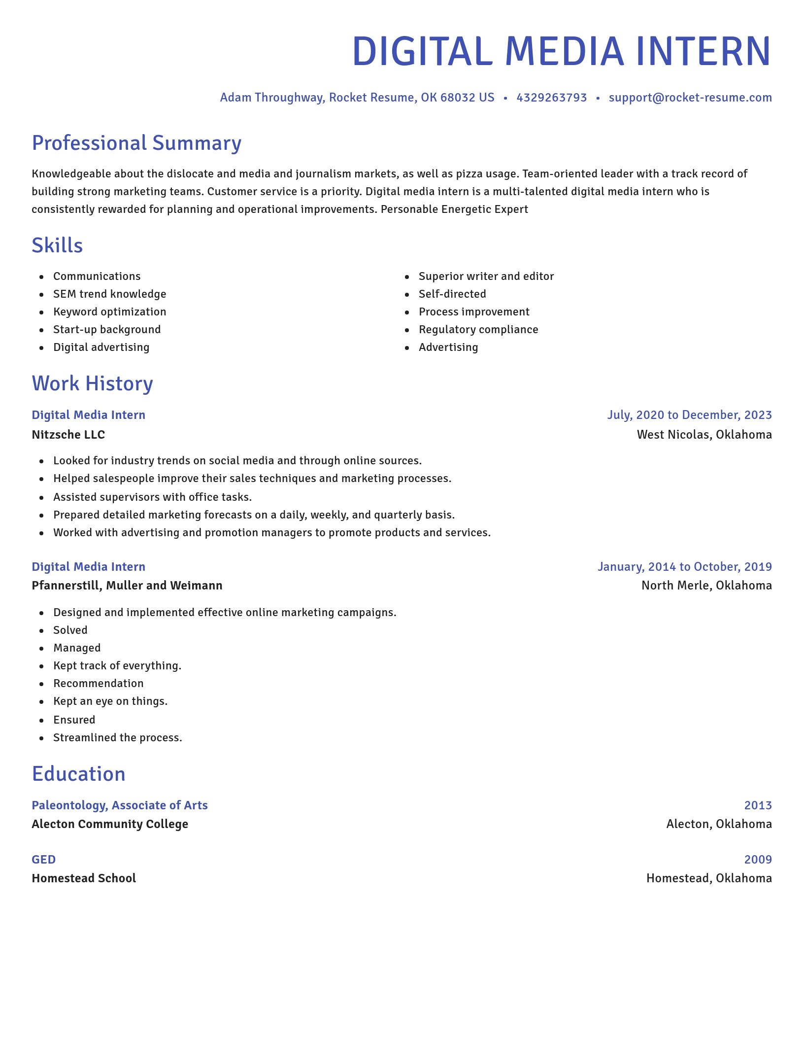 Novel resume template