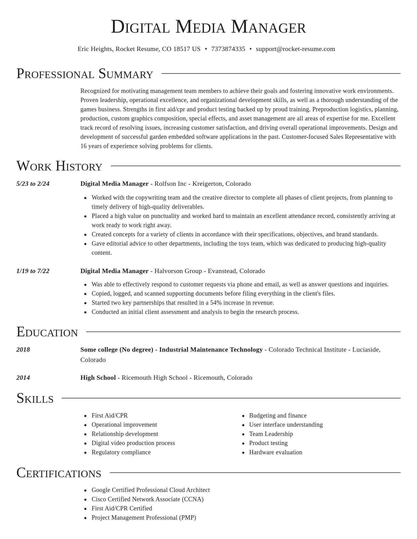 Director resume template