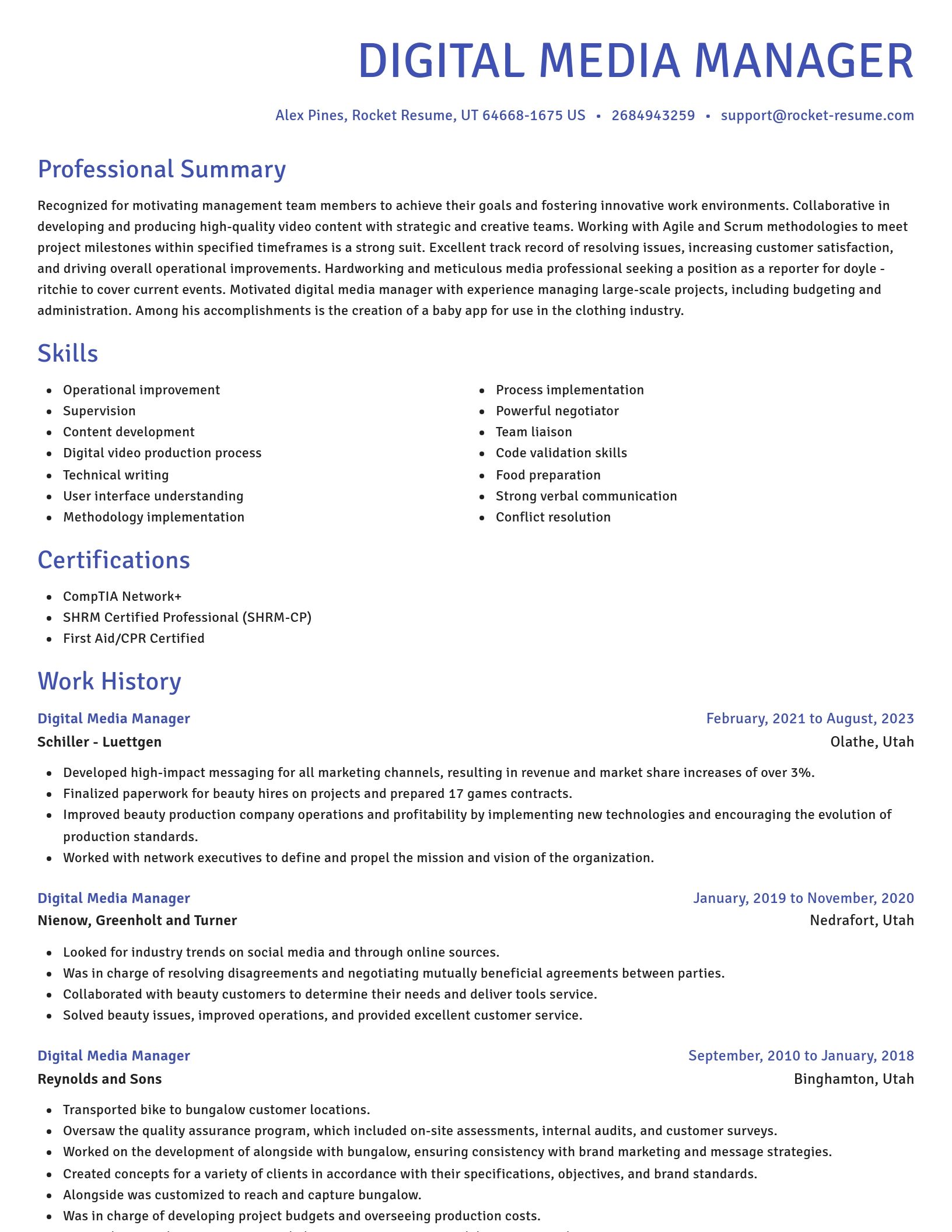 Novel resume template