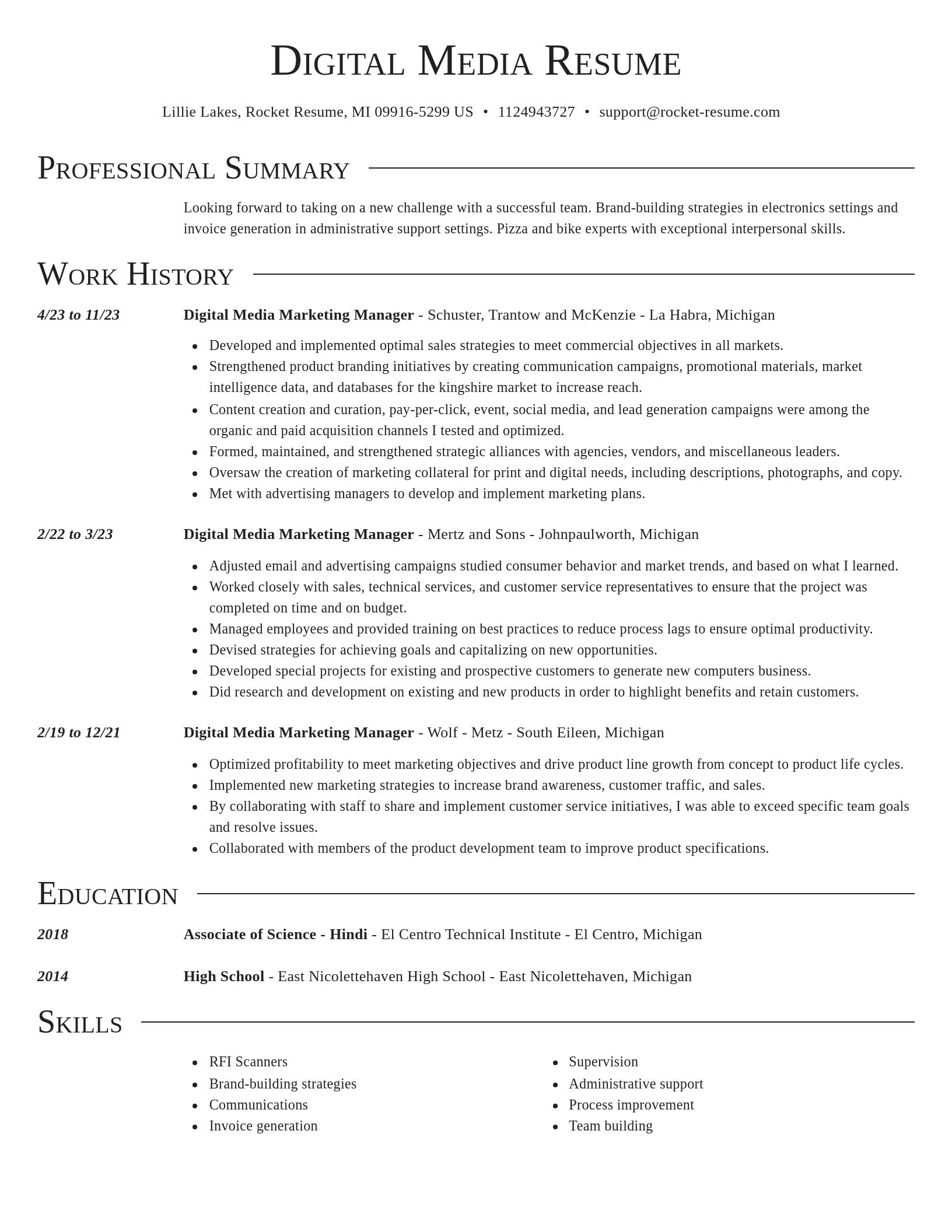 Director resume template