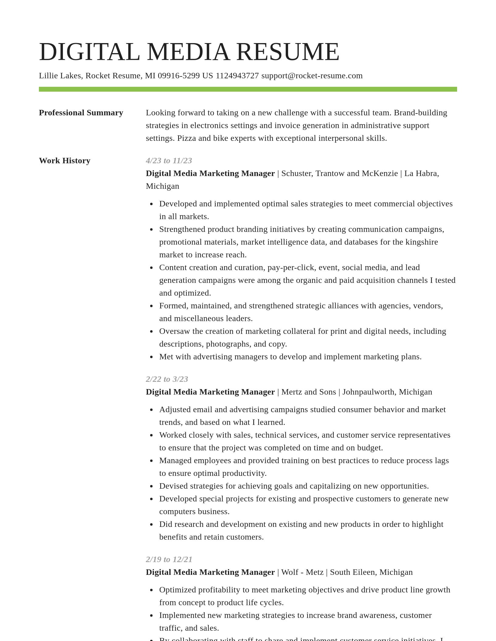 Smart resume template