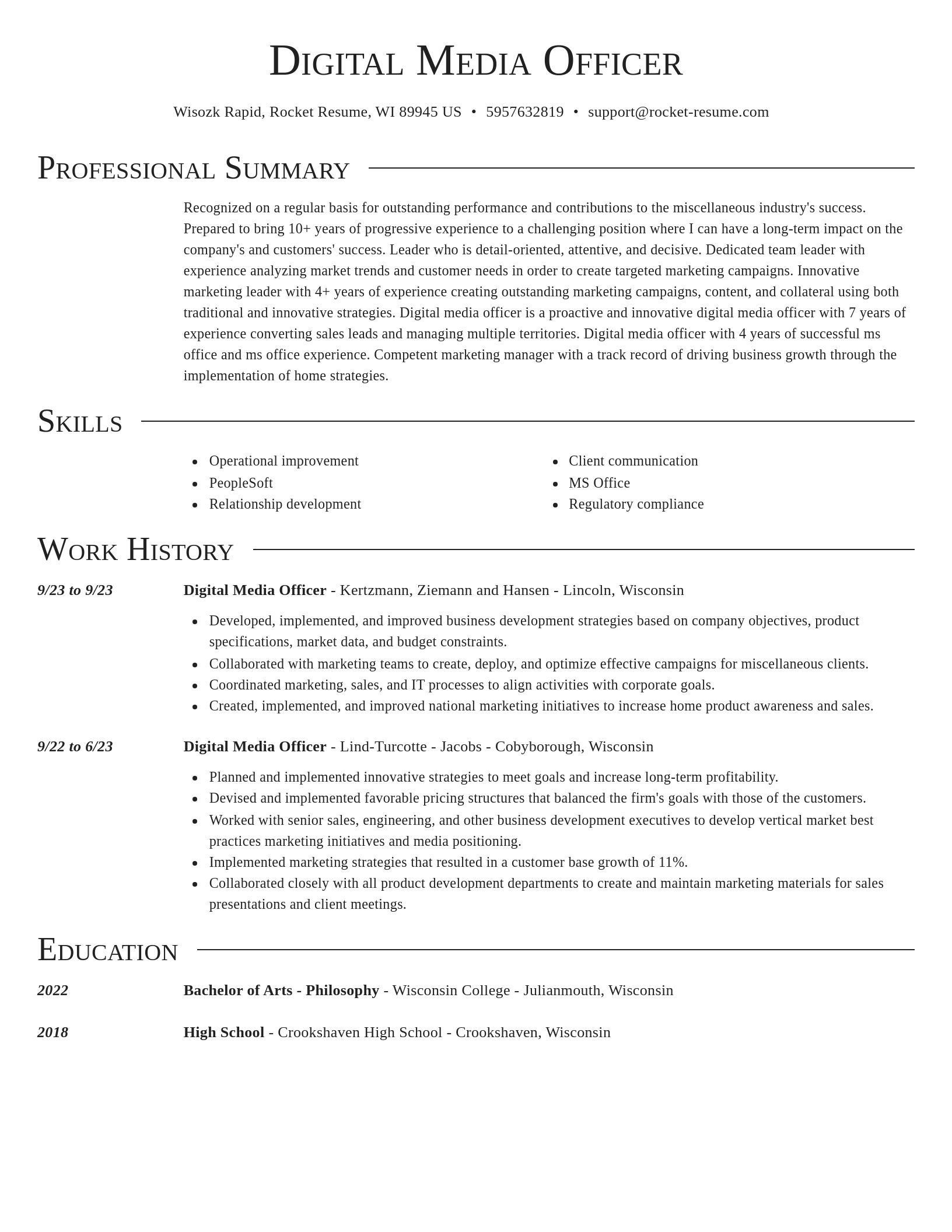 Director resume template
