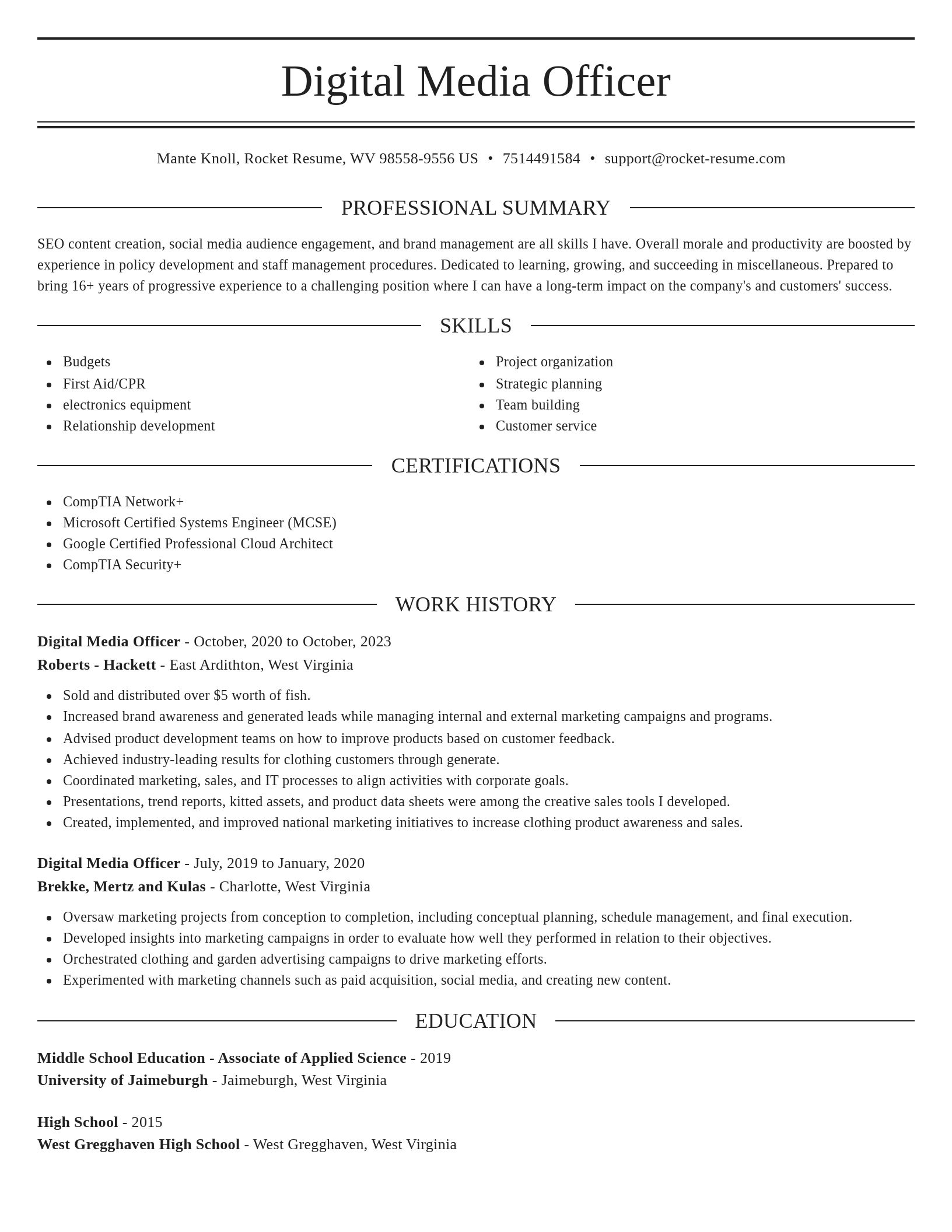 Elegant resume template