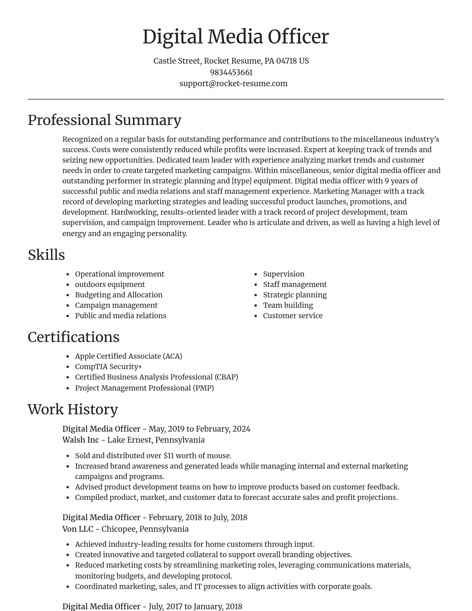 Focal Point resume template