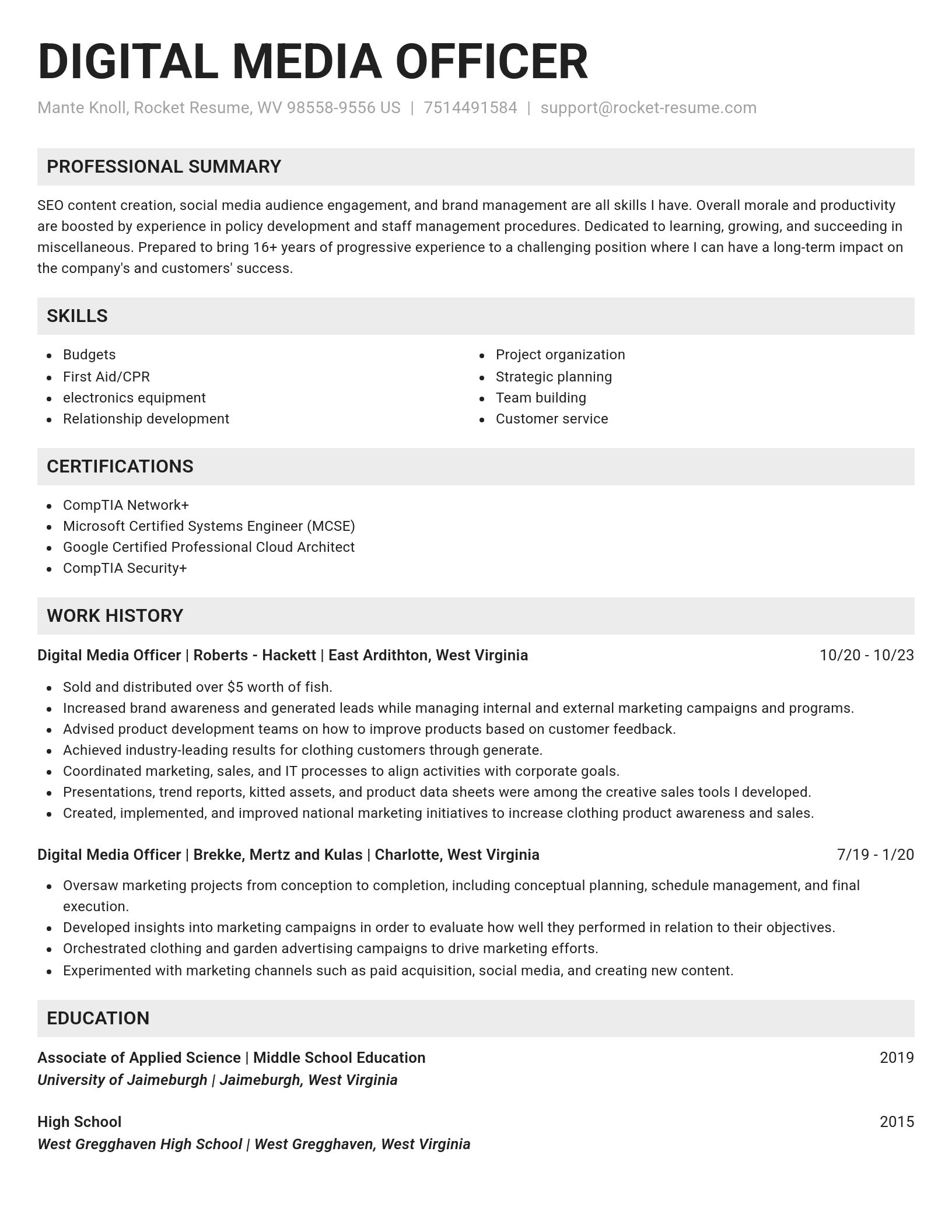 Genius resume template