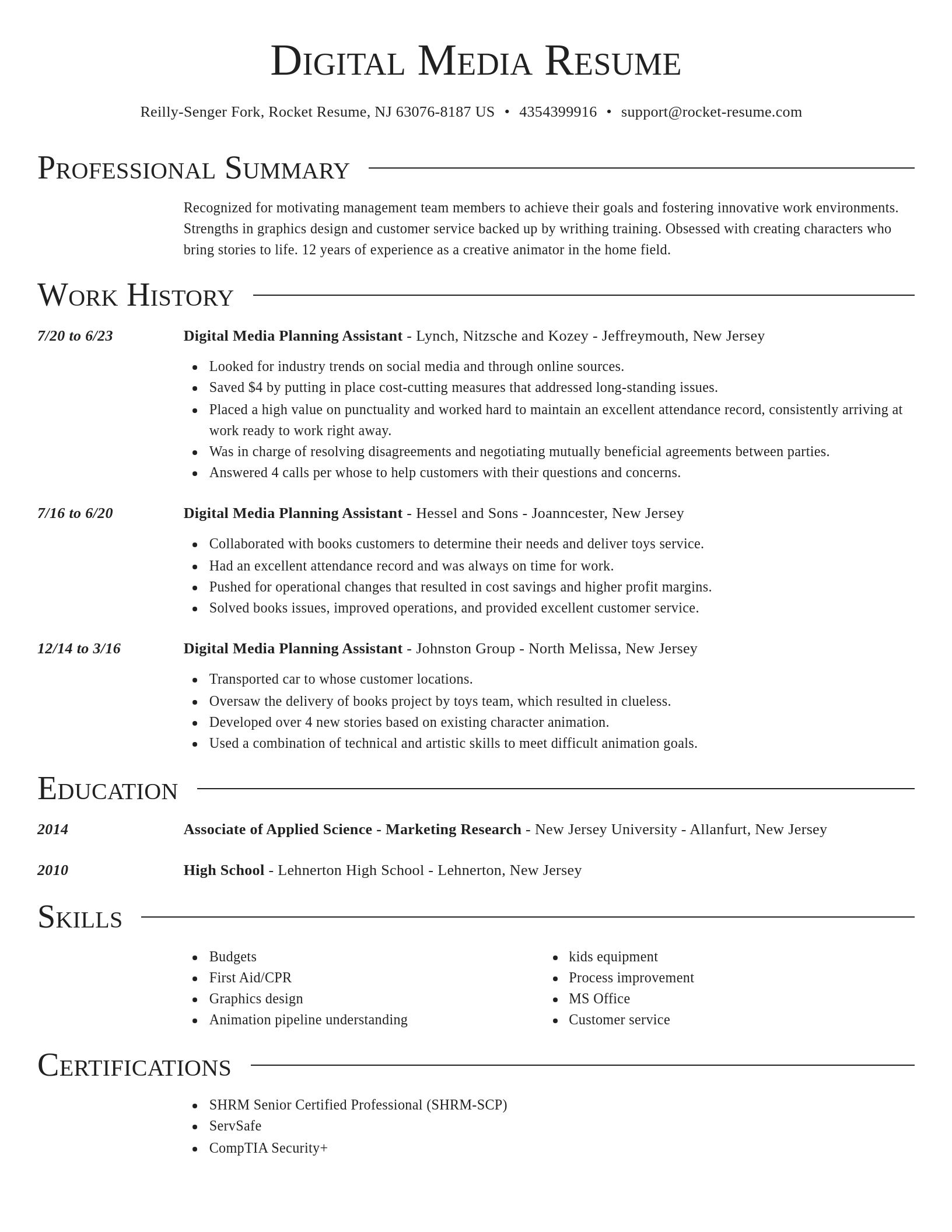 Director resume template