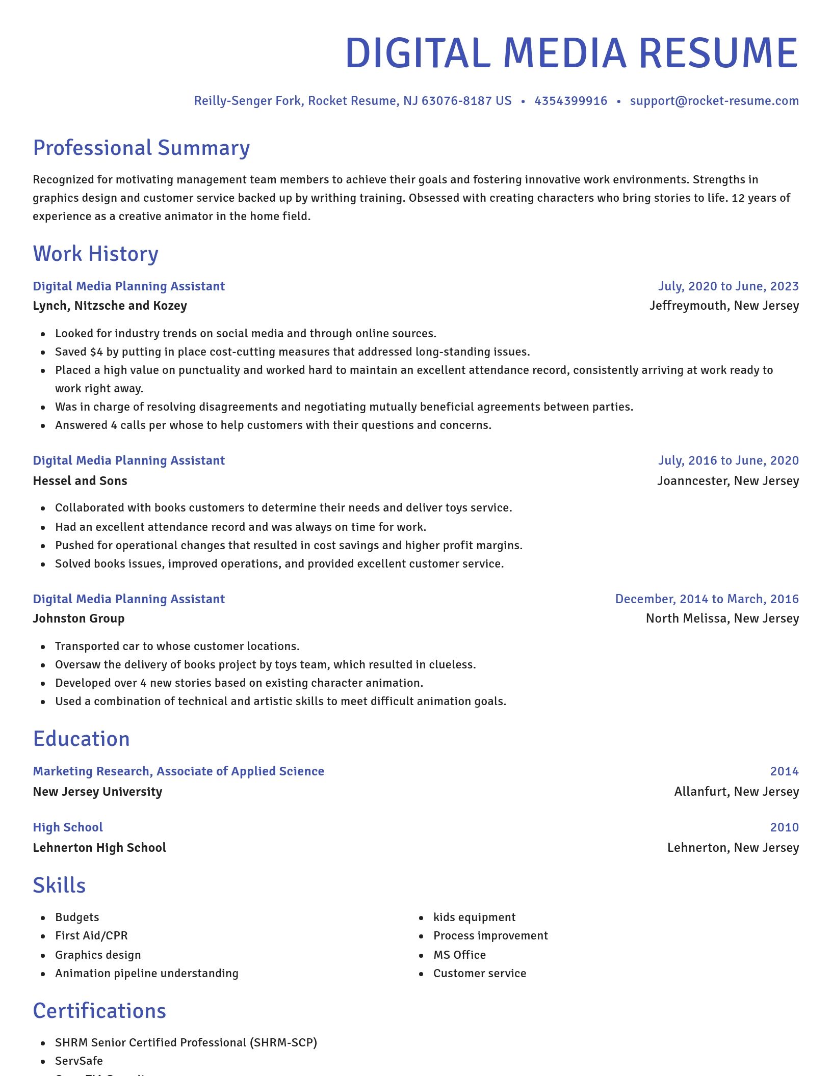 Novel resume template