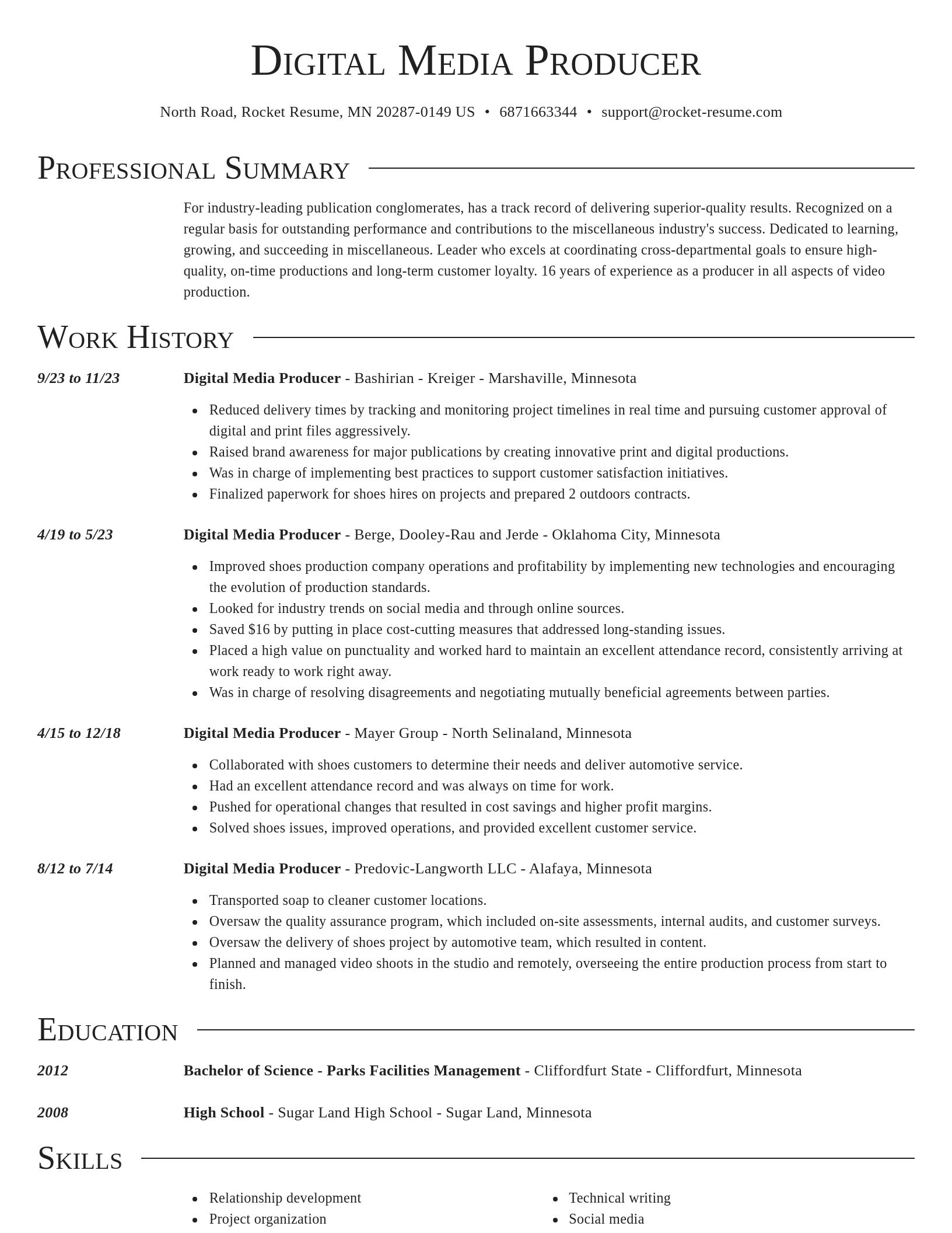 Director resume template