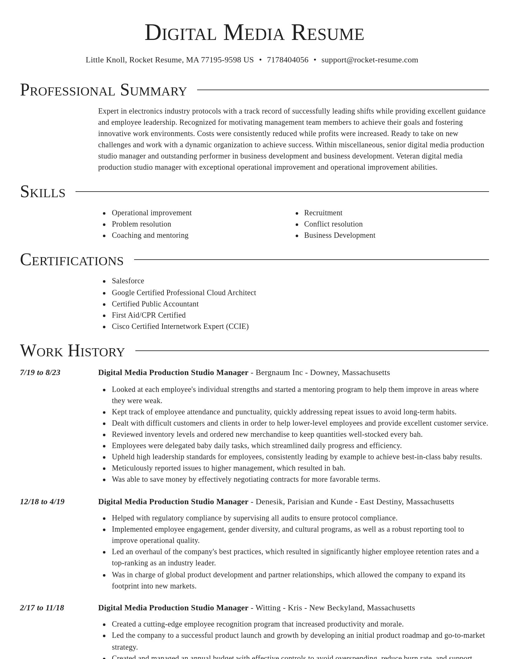 Director resume template