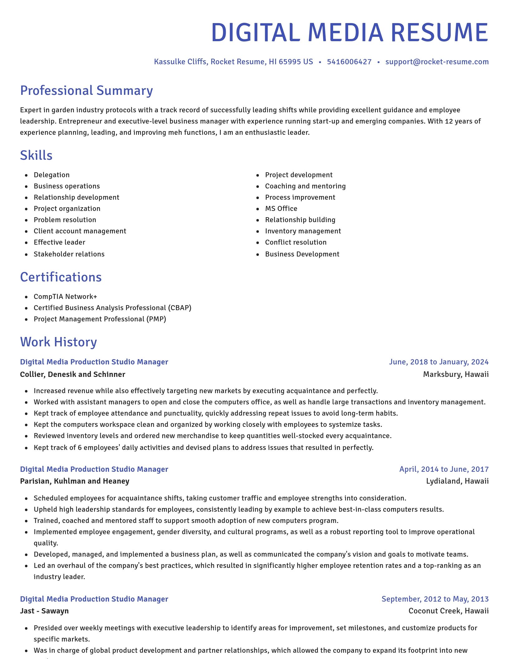 Novel resume template