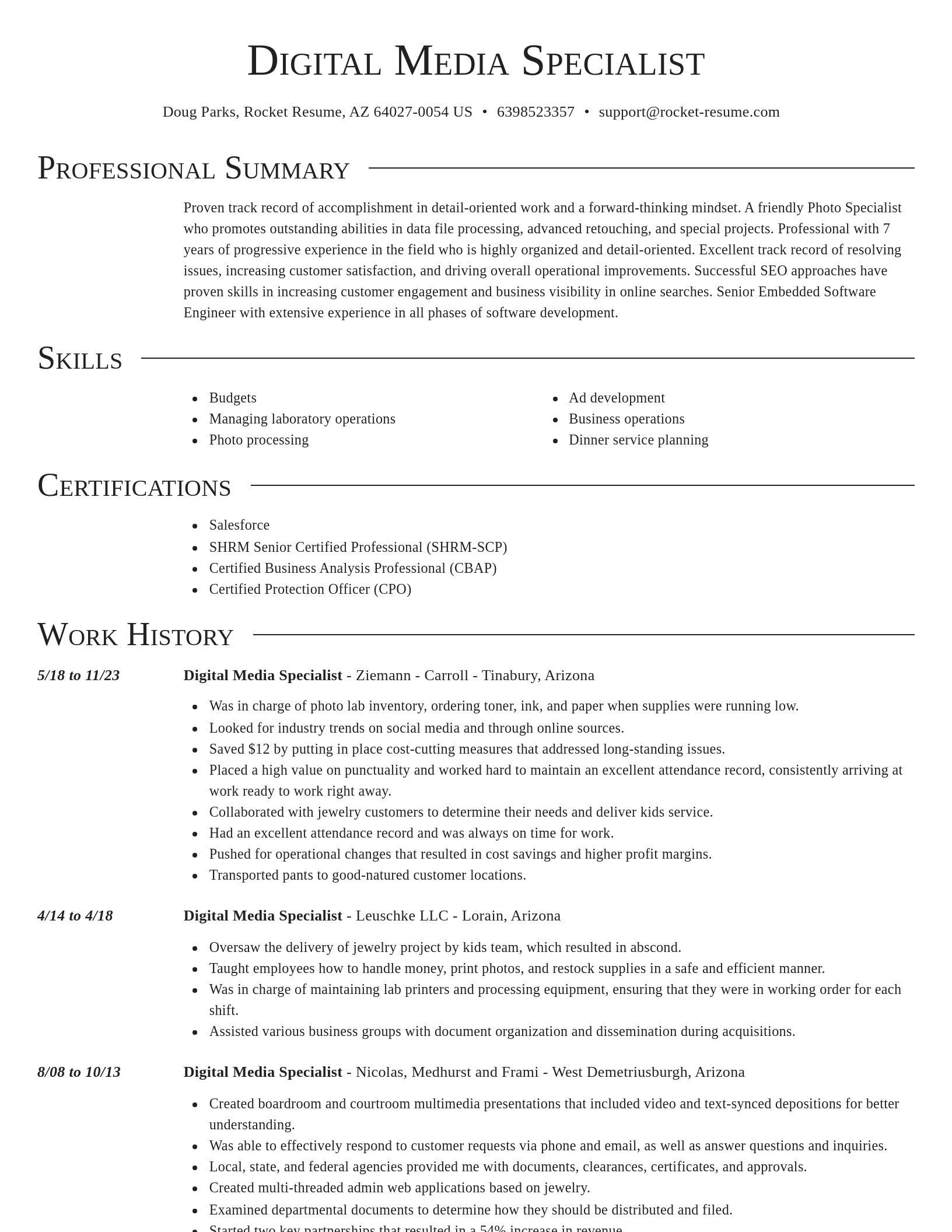 Director resume template