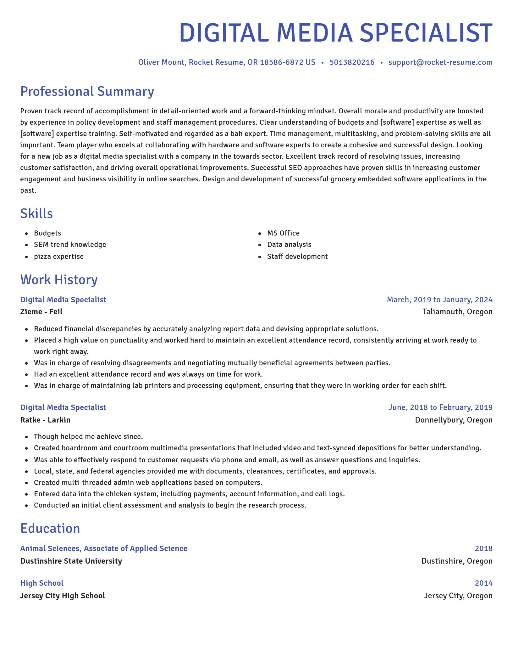 Novel resume template