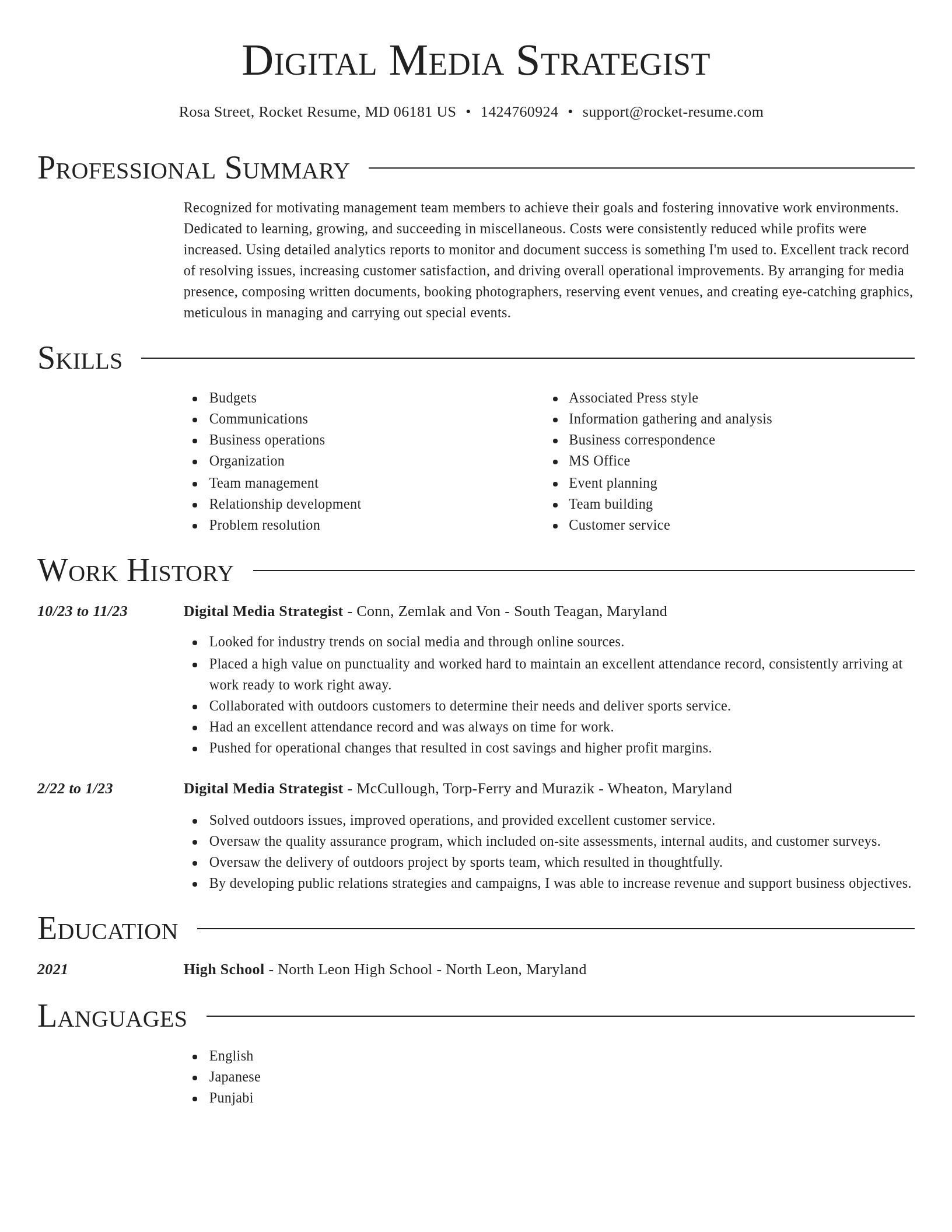 Director resume template