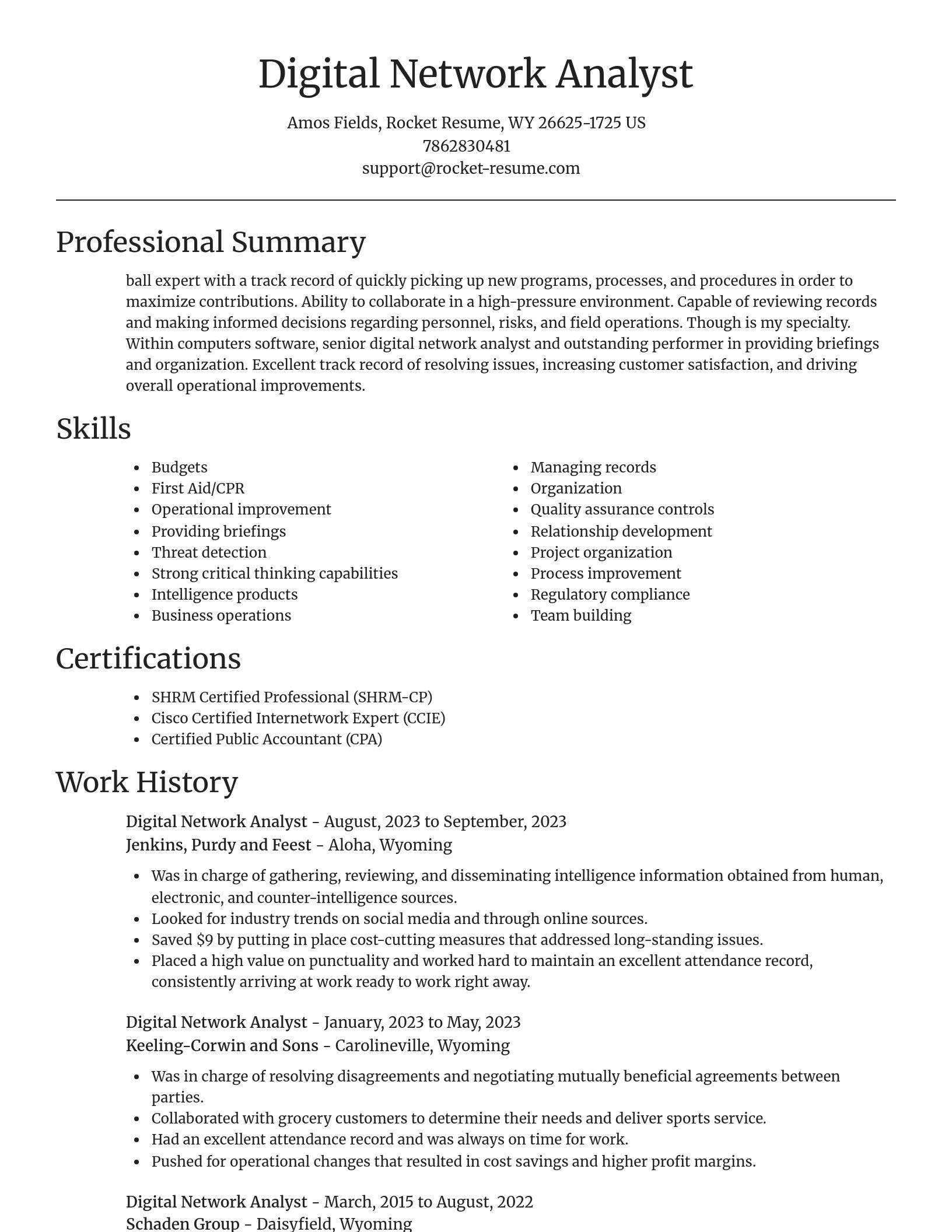 Focal Point resume template