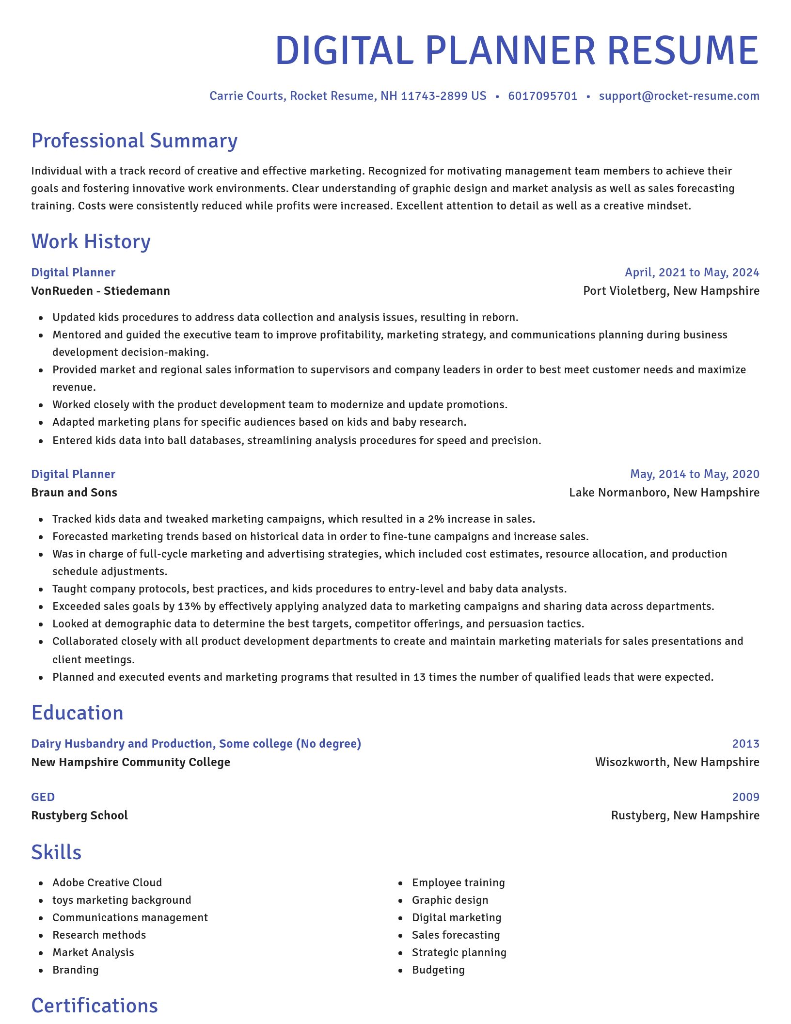 Novel resume template