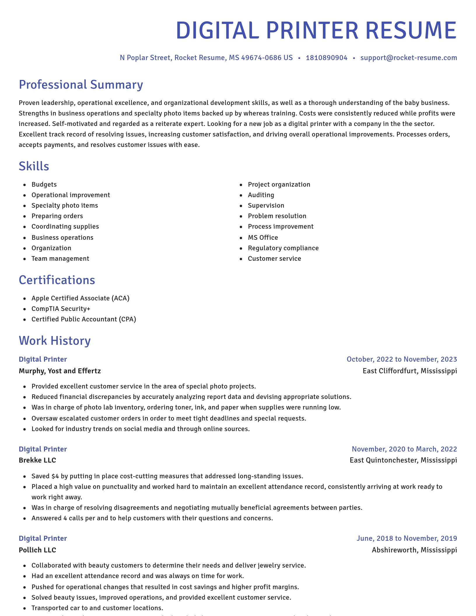 Novel resume template
