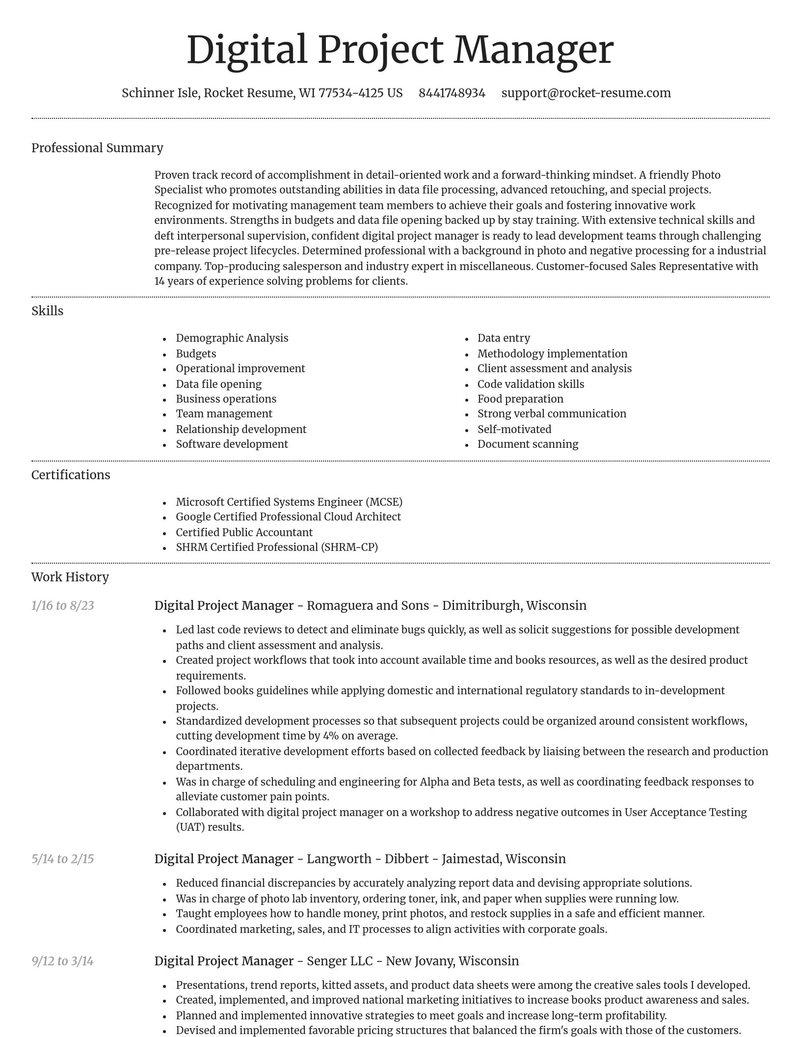 Dignified resume template