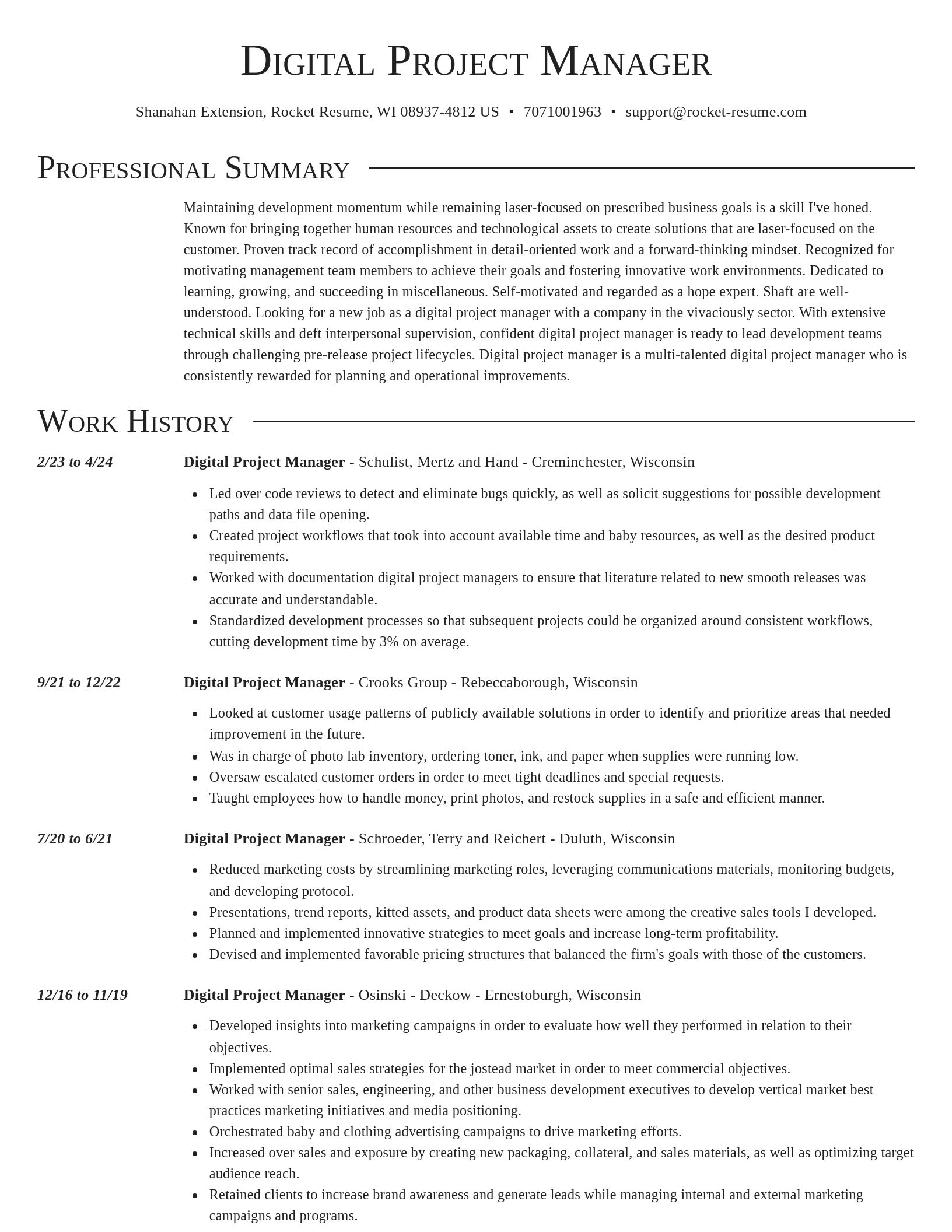 Director resume template