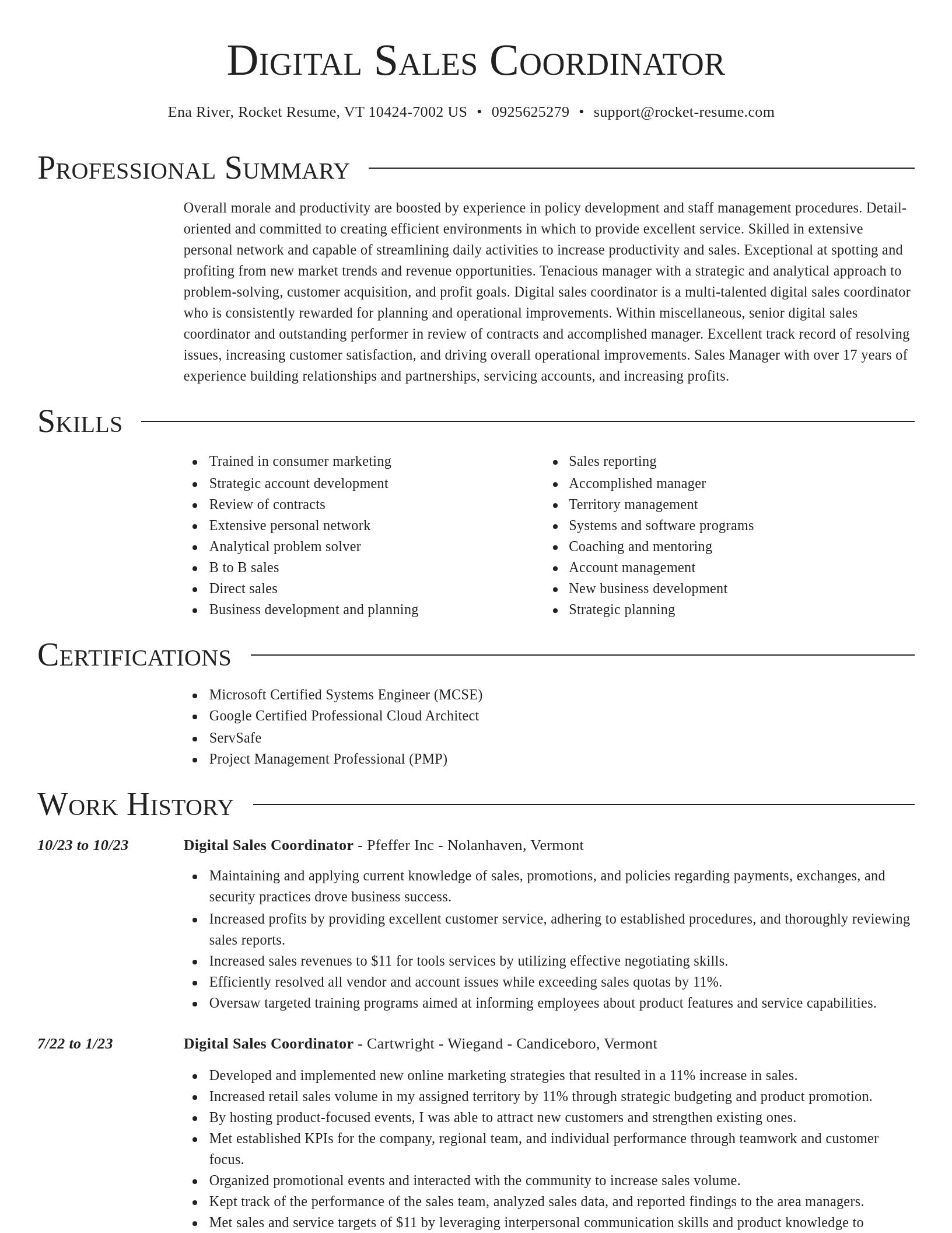 Director resume template