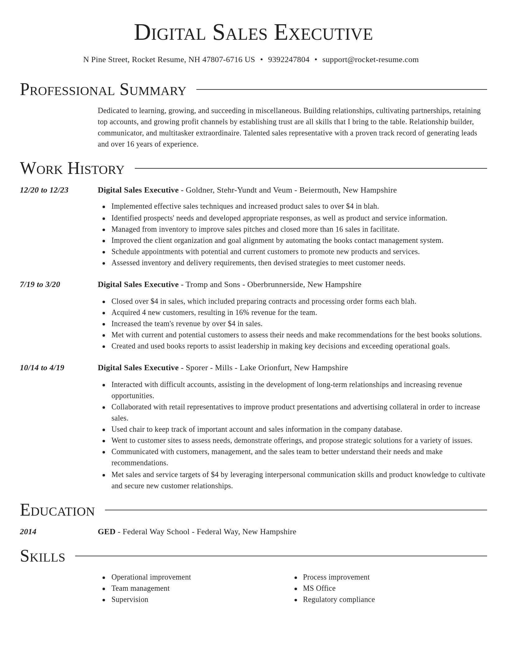 Director resume template