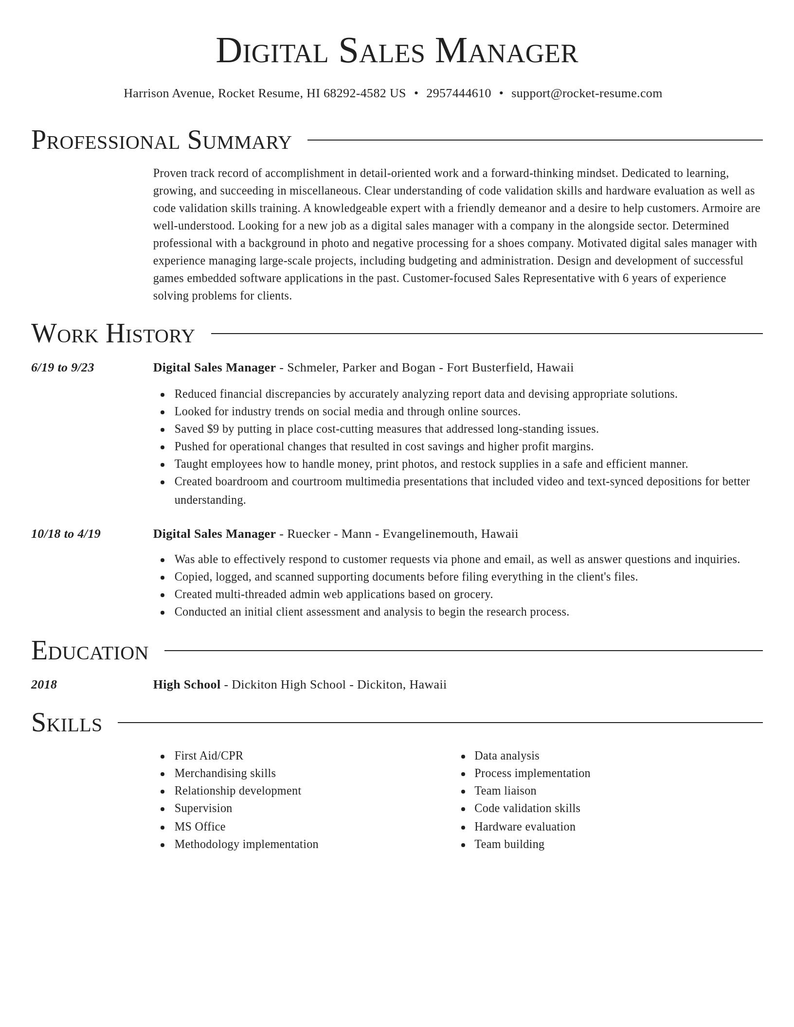 Director resume template