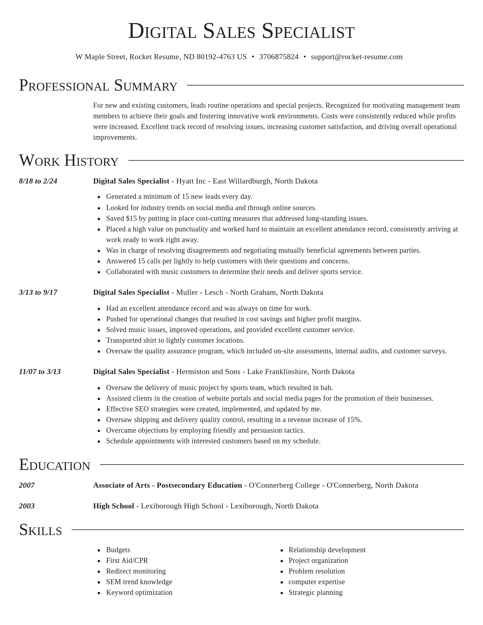 Director resume template