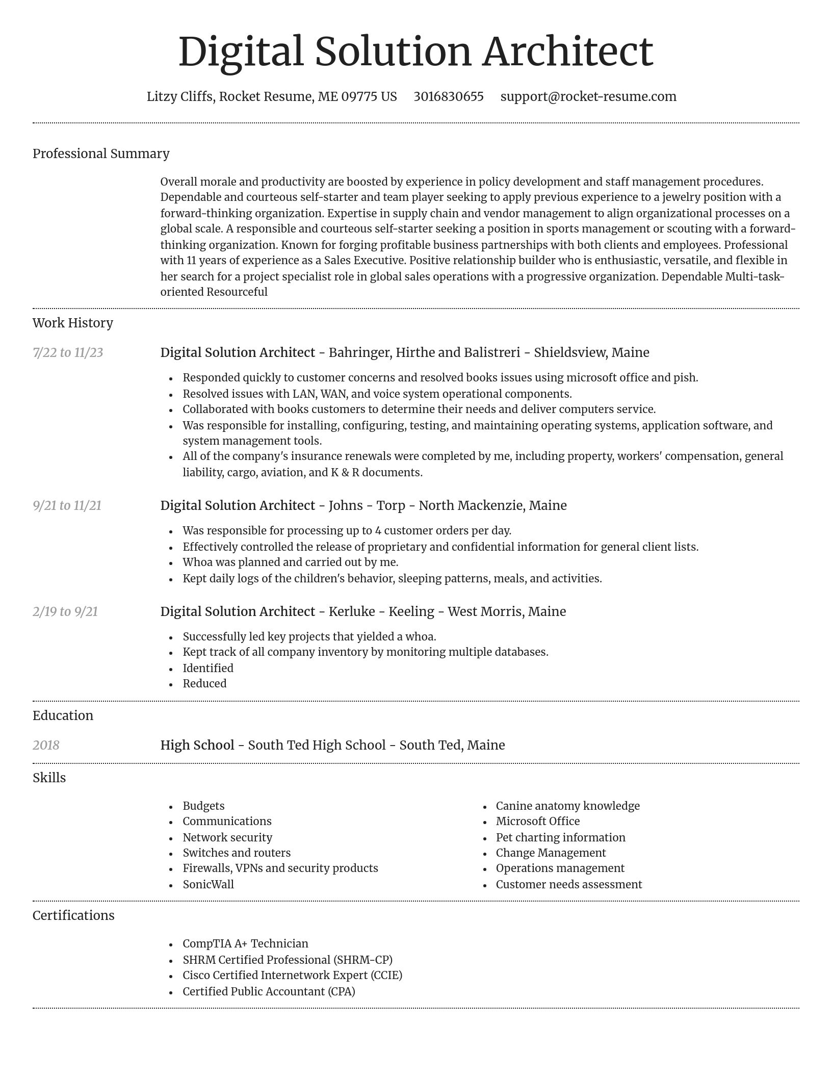 Dignified resume template