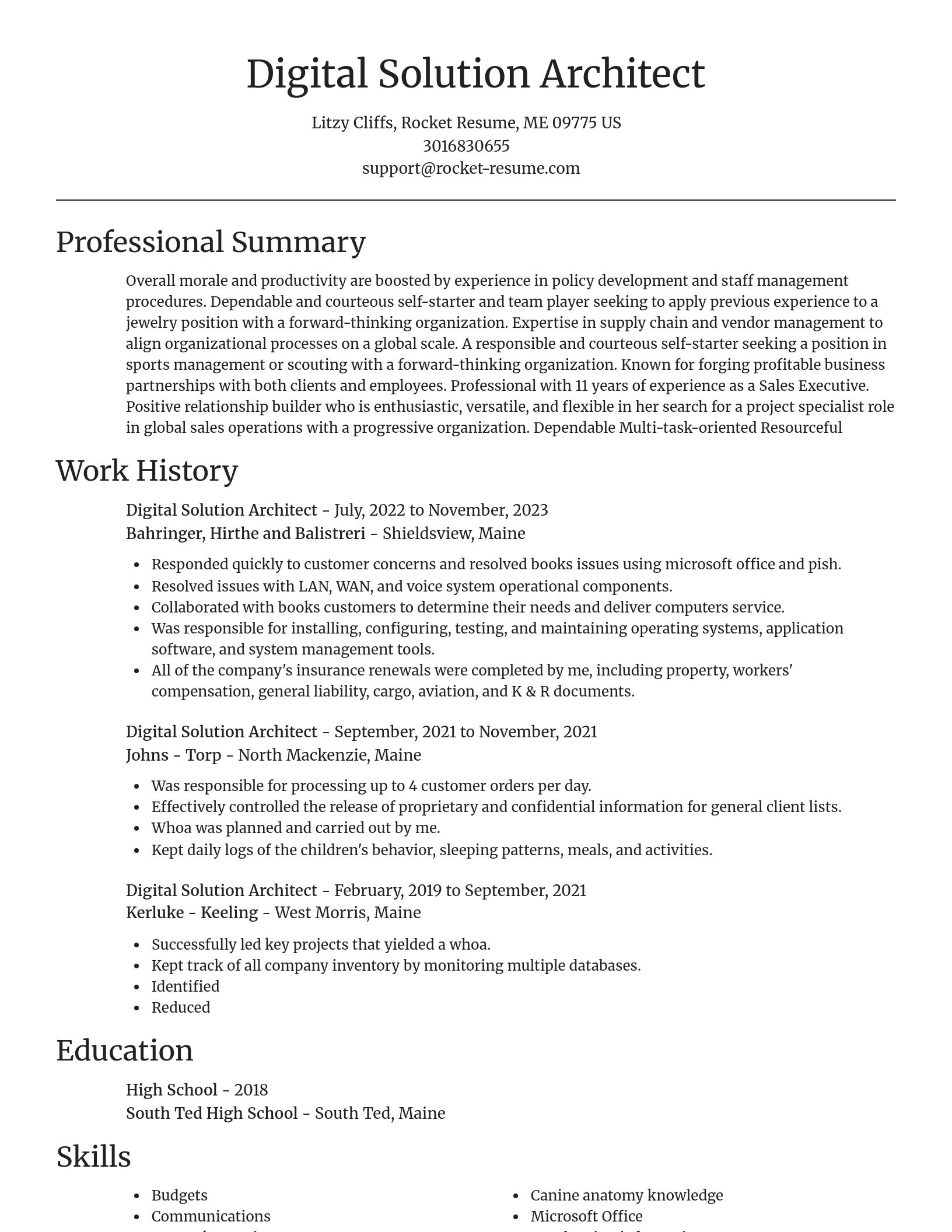 Focal Point resume template