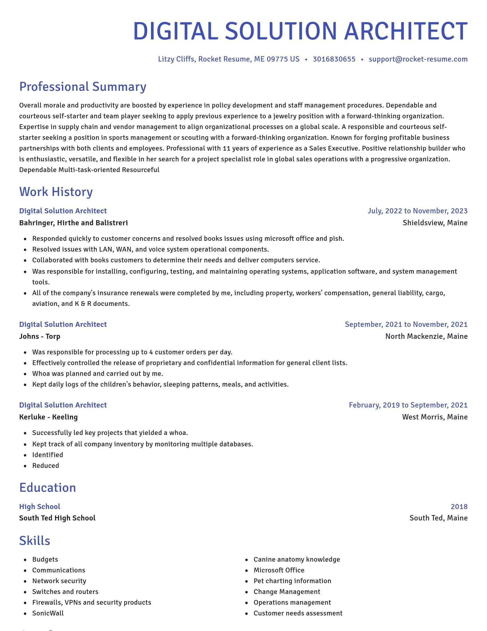 Novel resume template