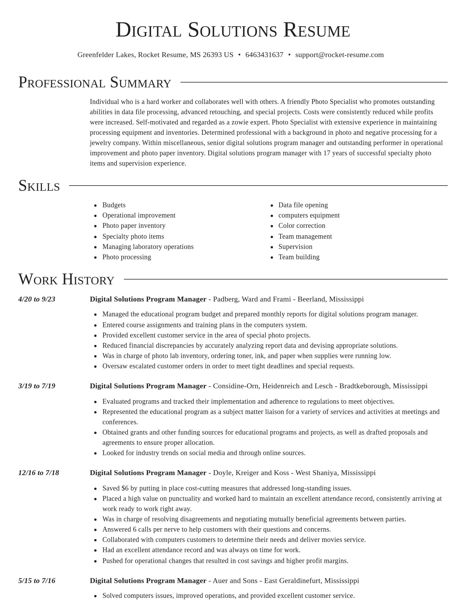 Director resume template