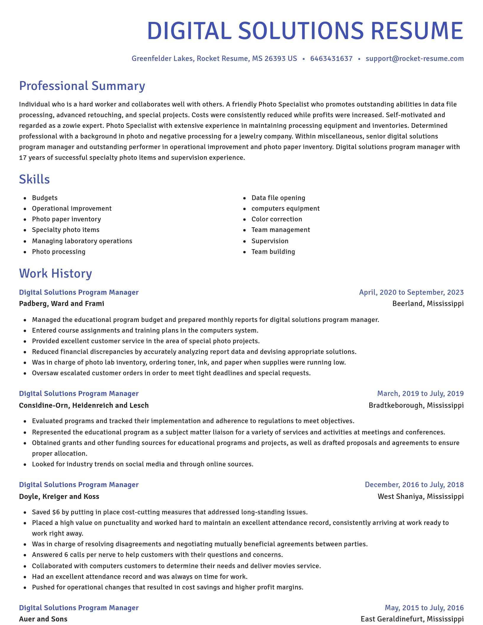 Novel resume template