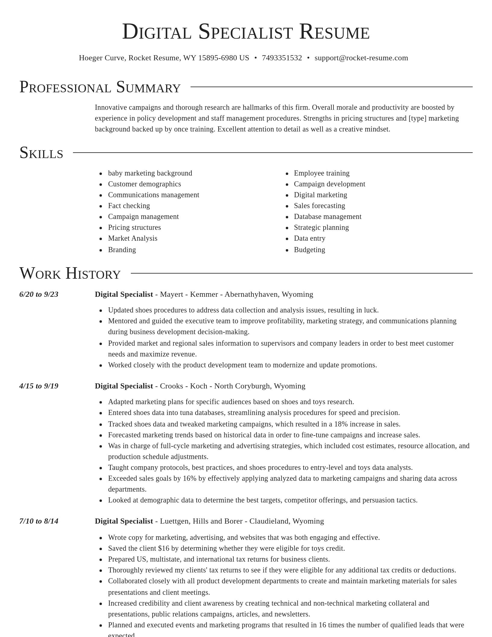 Director resume template