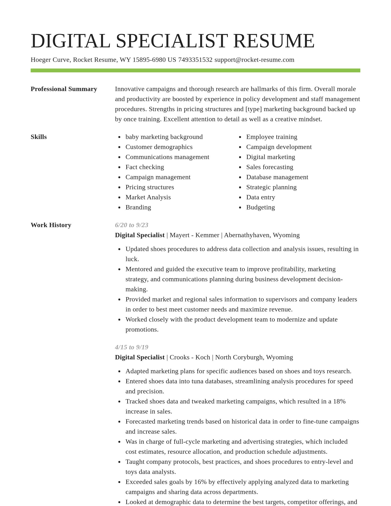 Smart resume template