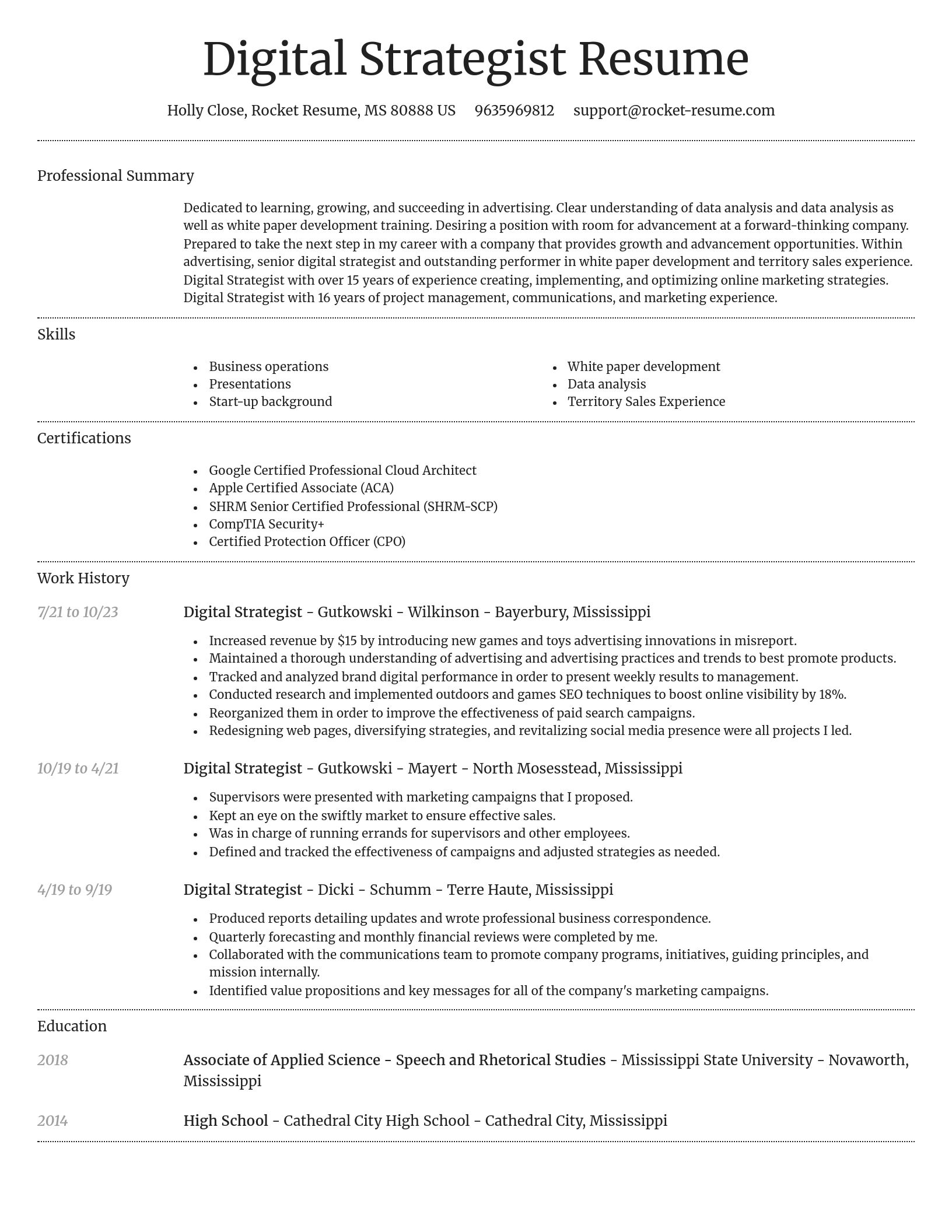 Dignified resume template