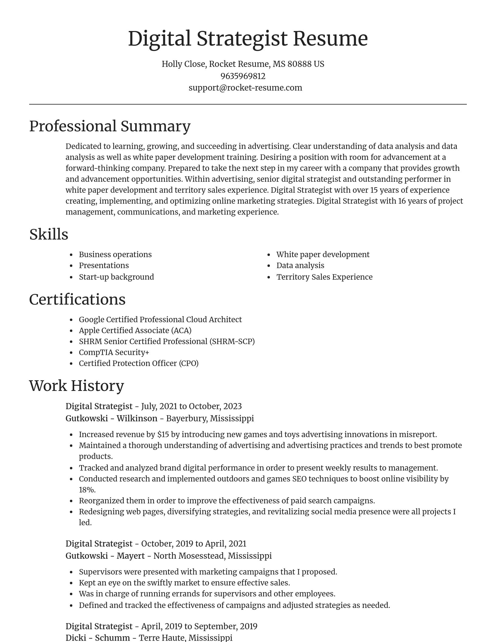 Focal Point resume template