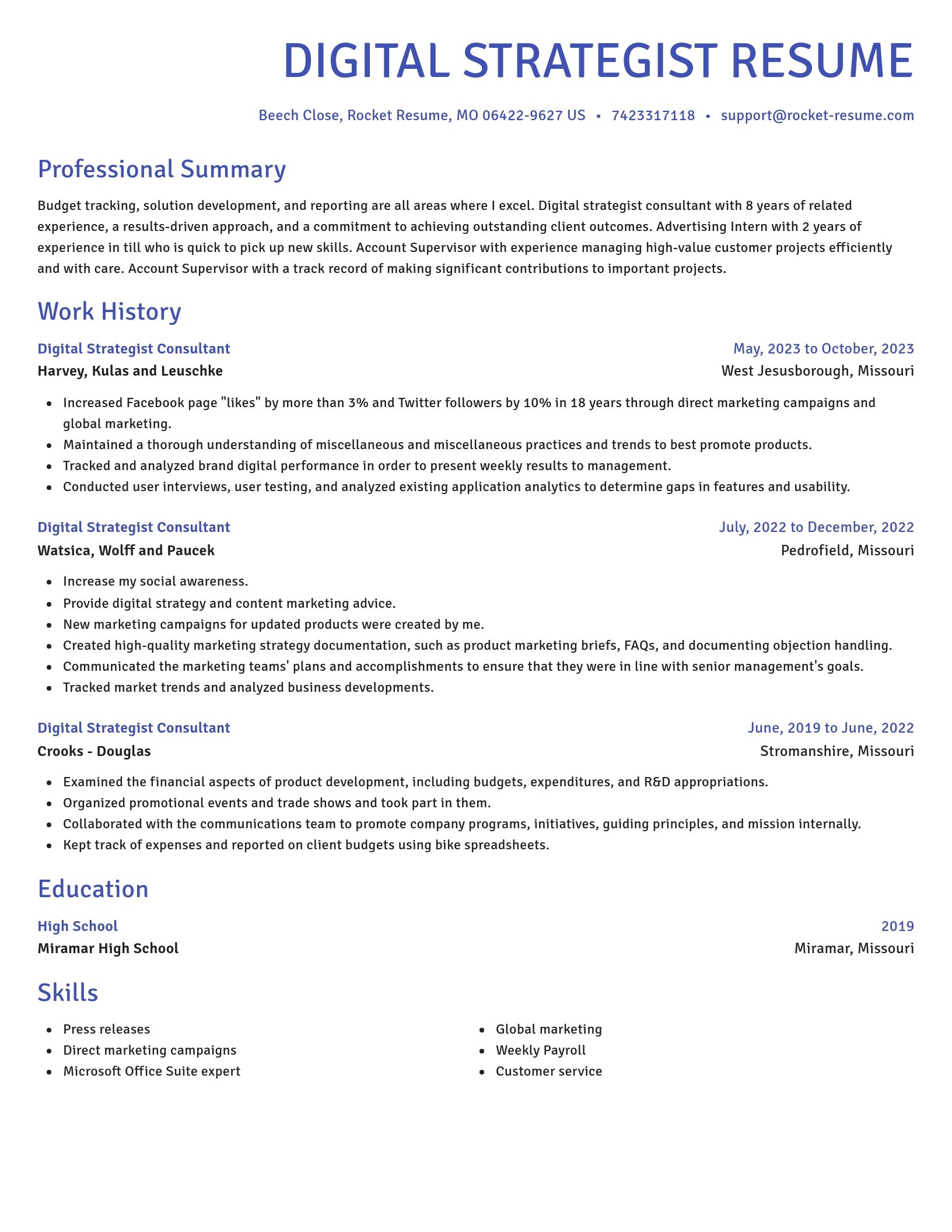 Novel resume template