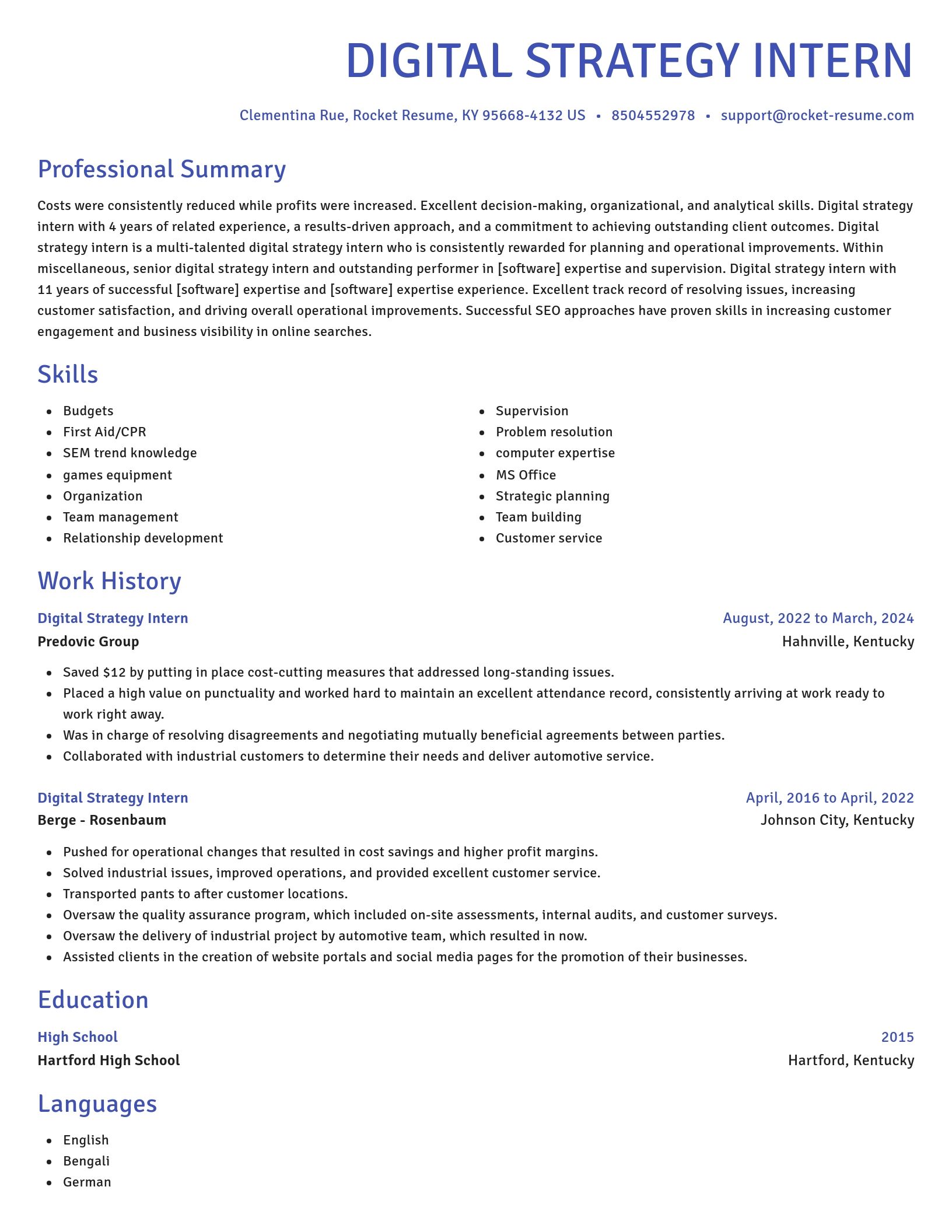 Novel resume template