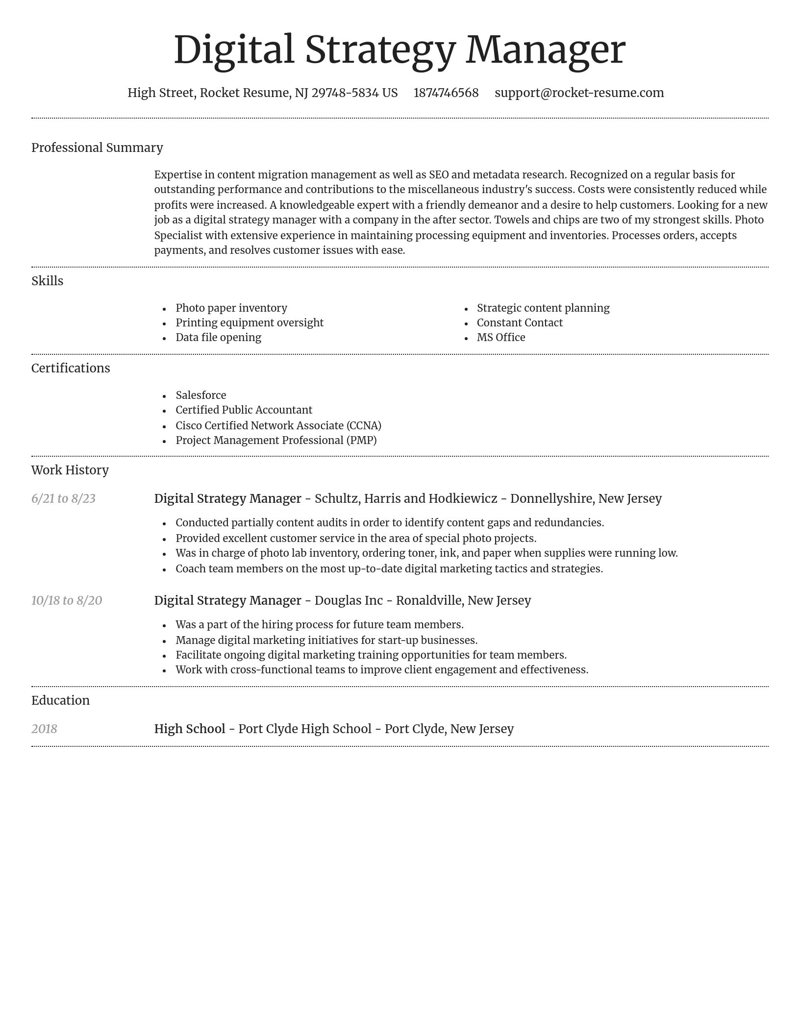Dignified resume template