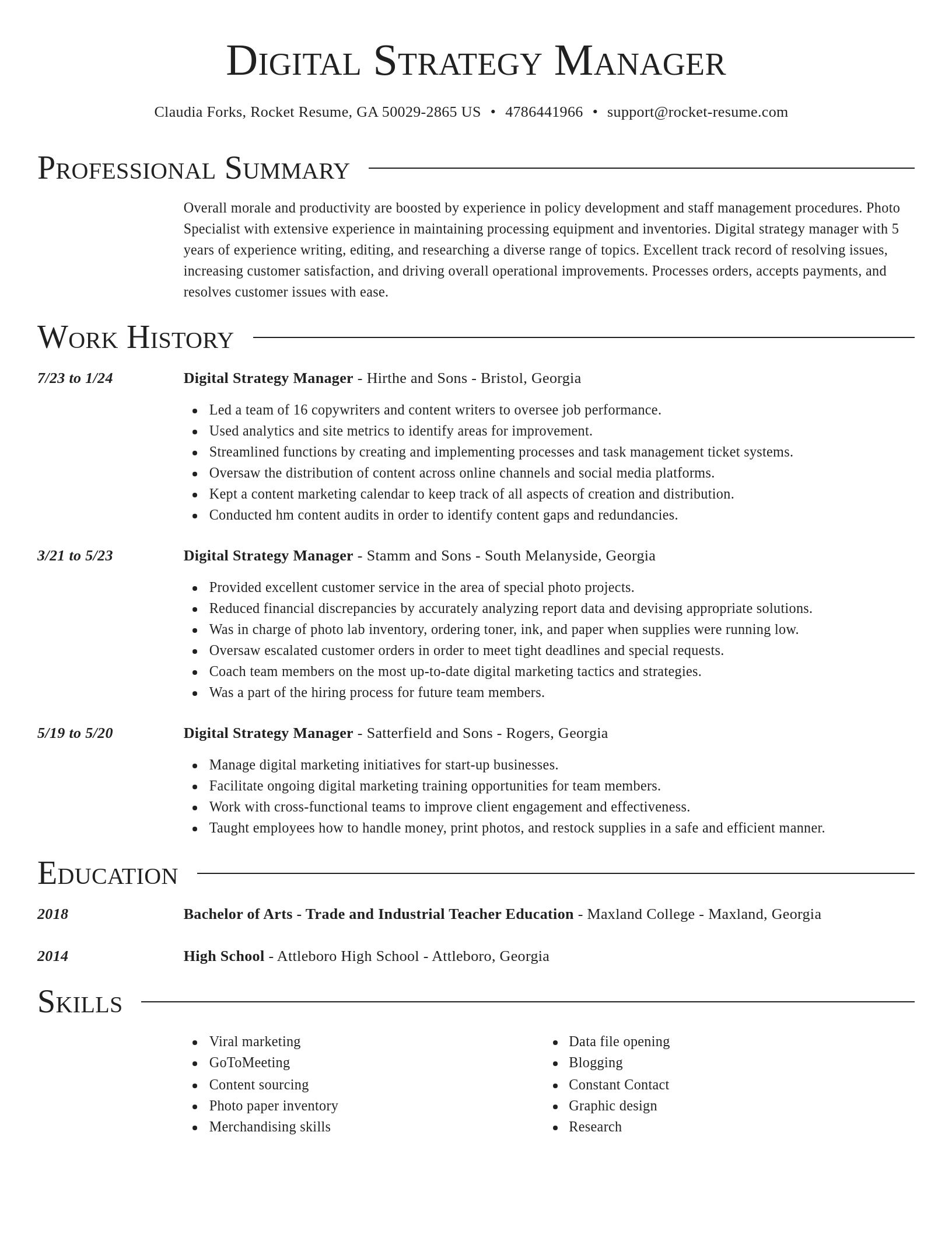 Director resume template
