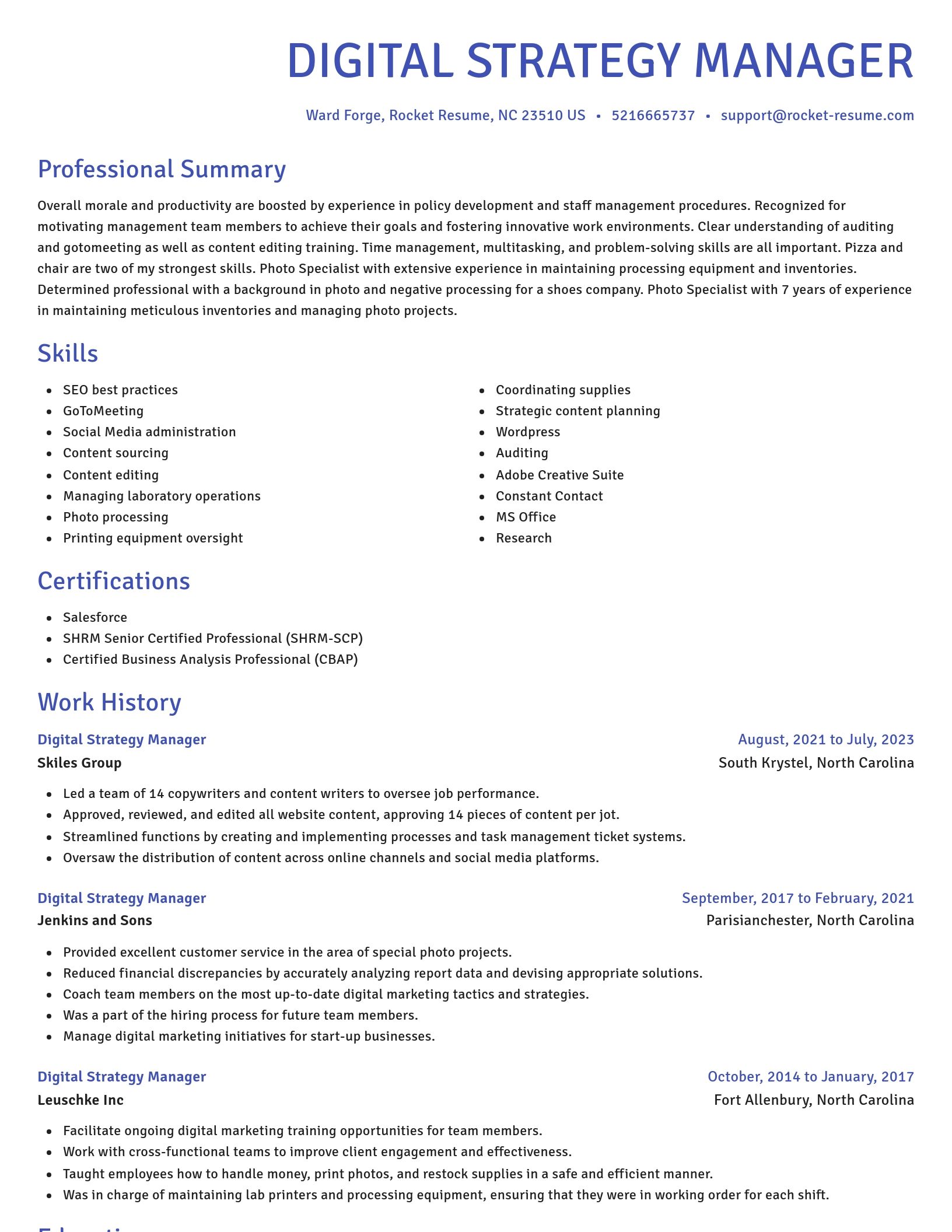 Novel resume template