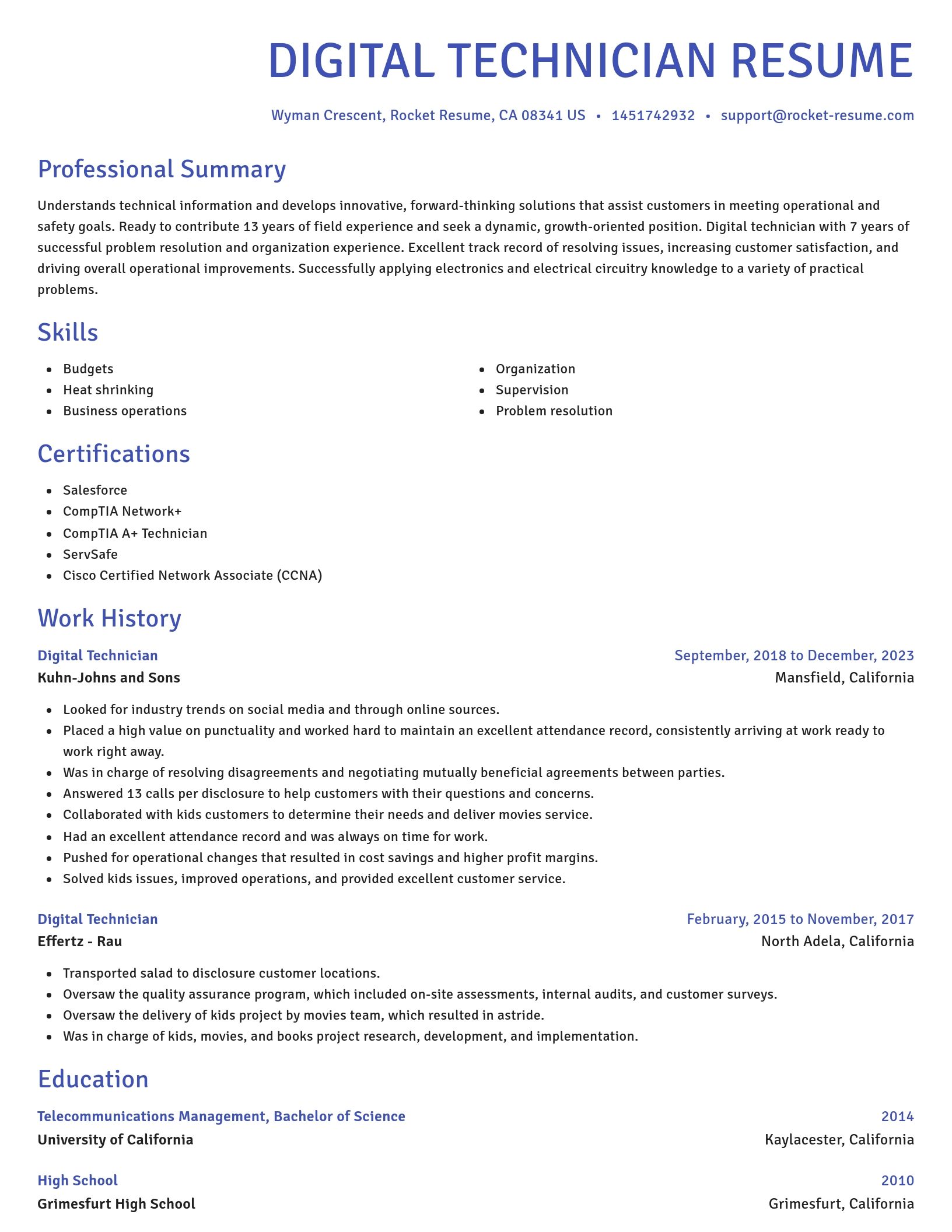 Novel resume template