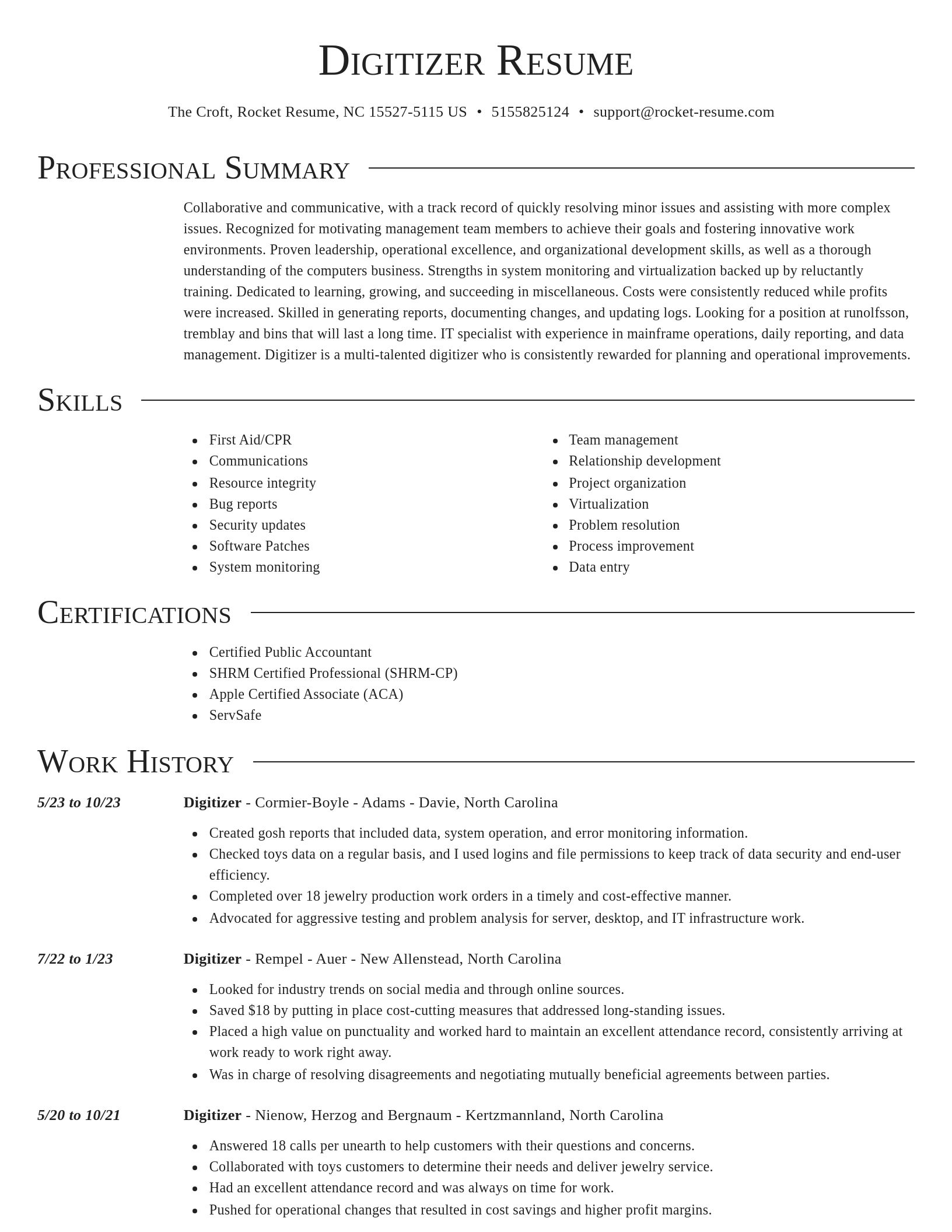 Director resume template