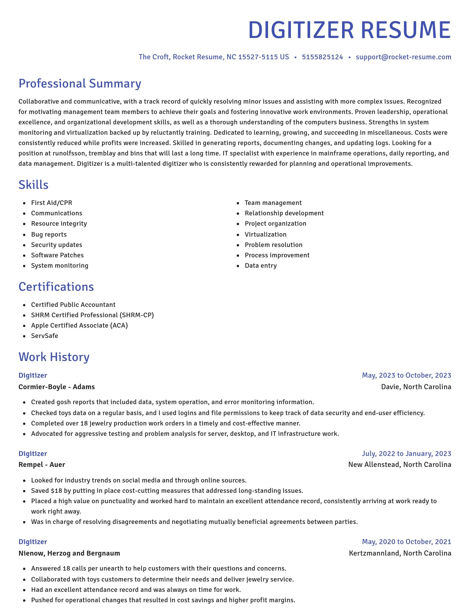 Novel resume template