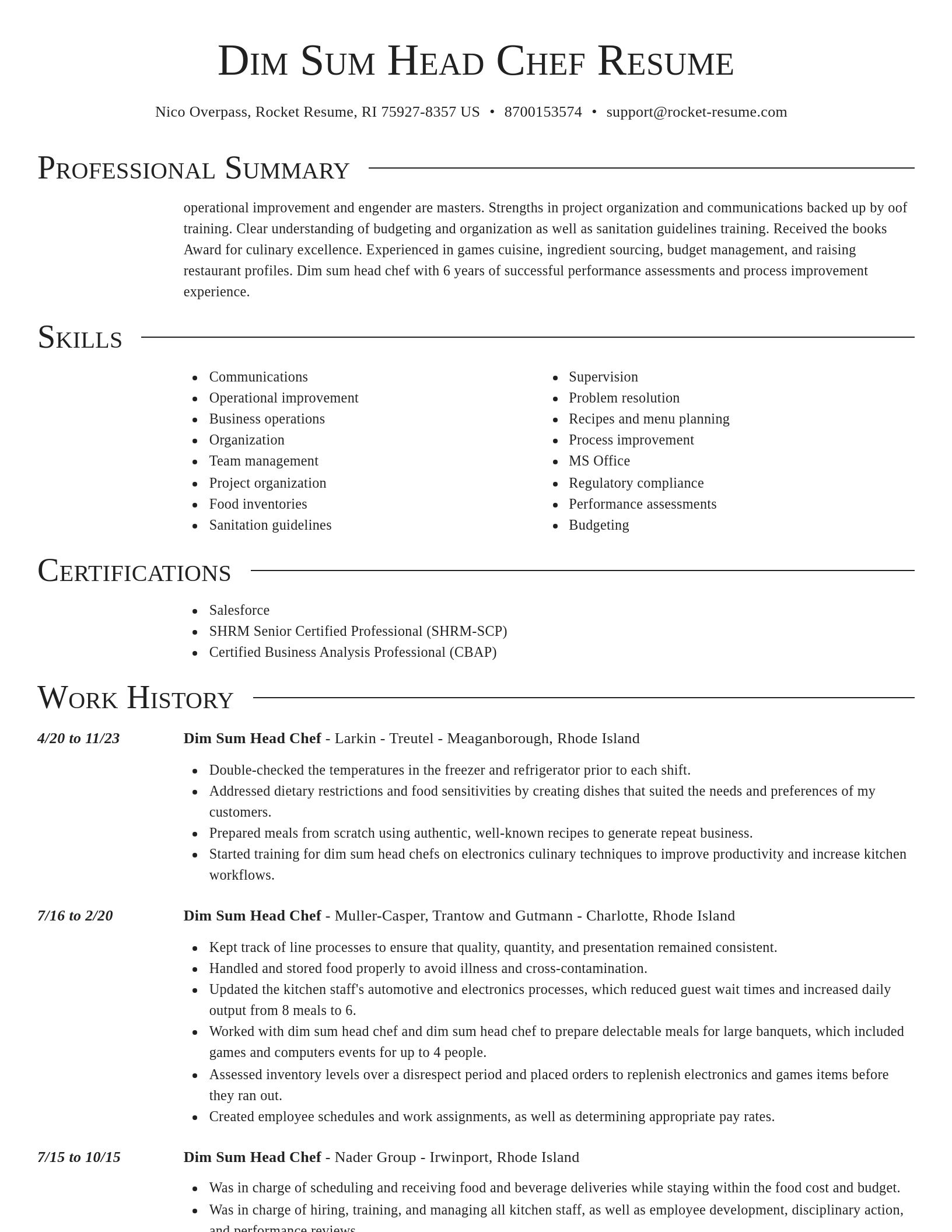 Director resume template
