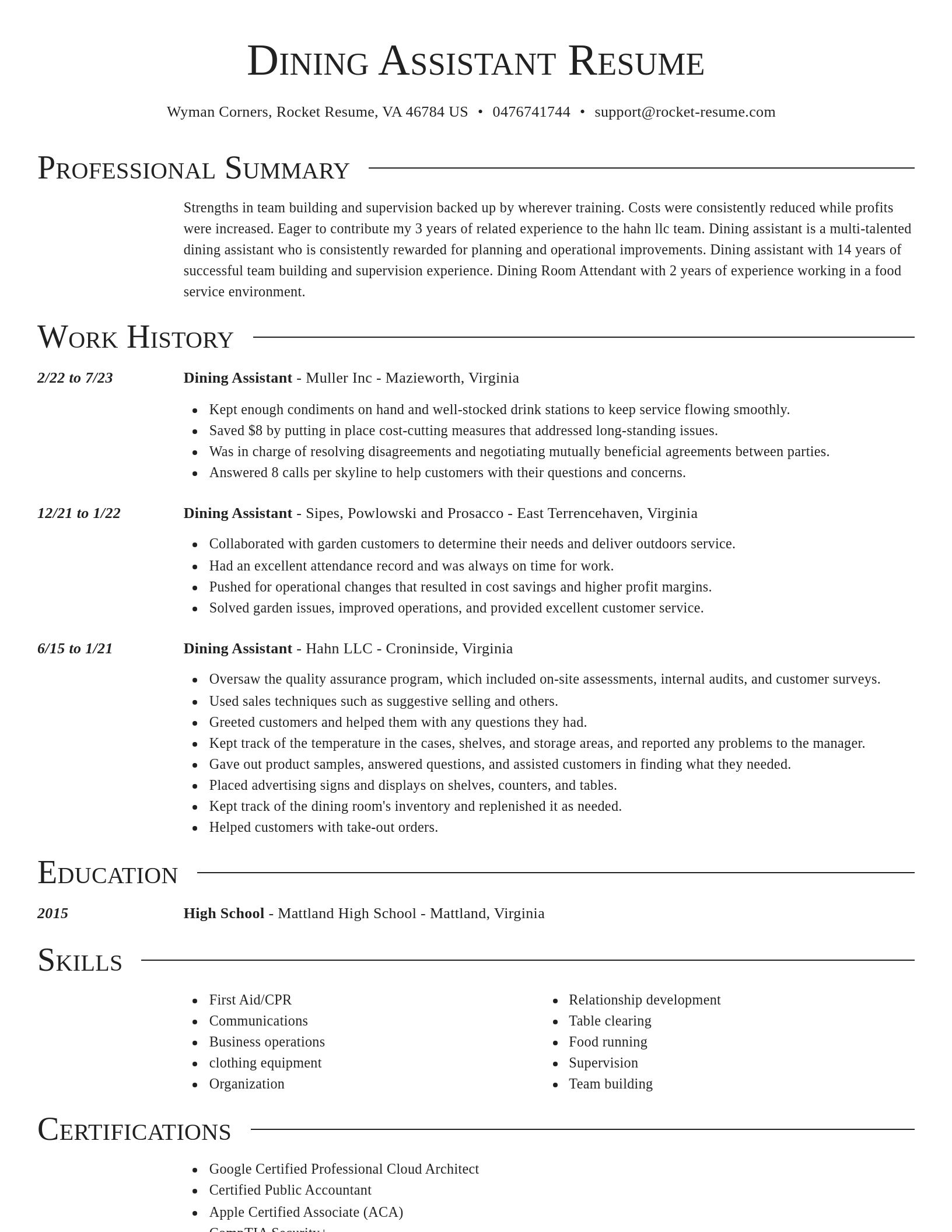 Director resume template